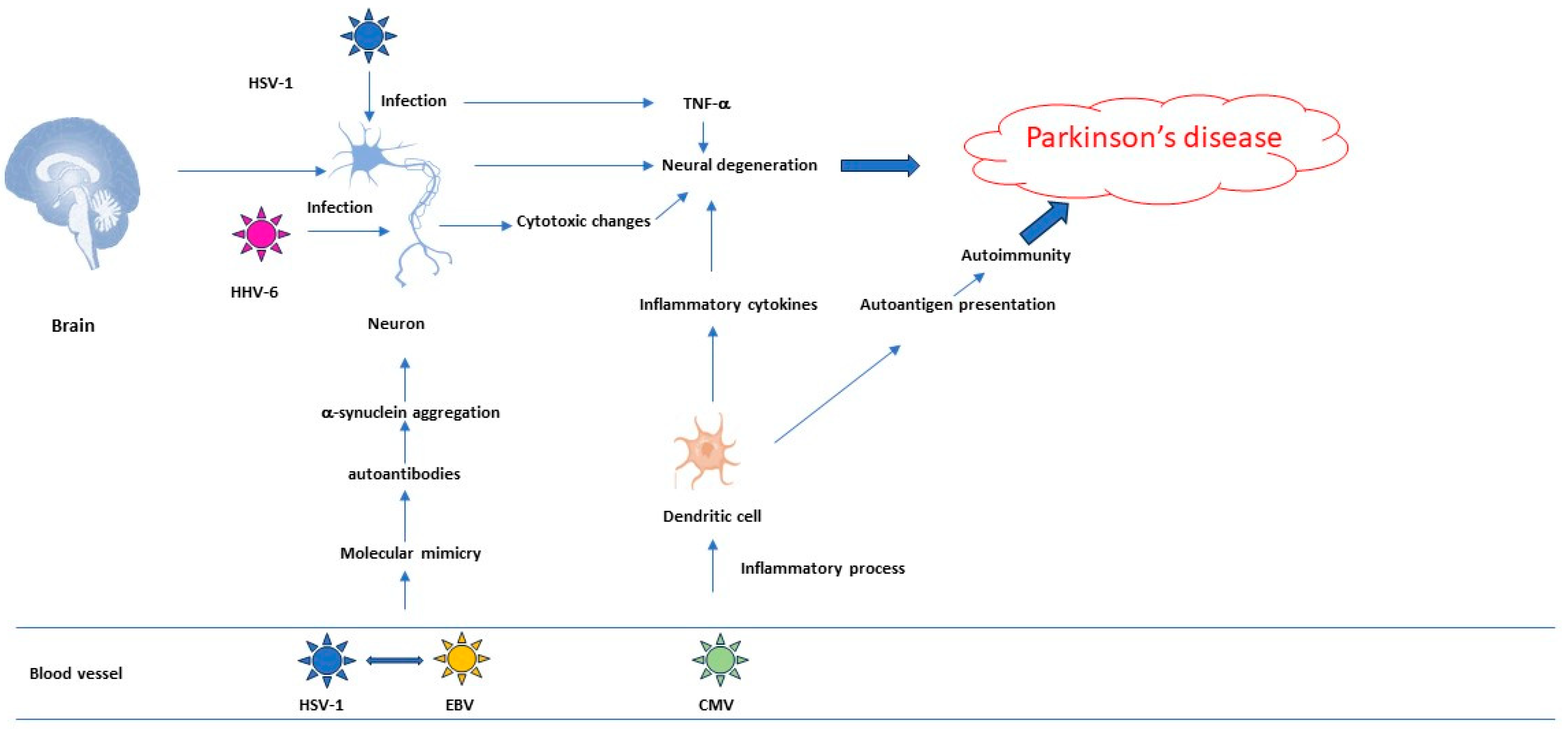 Viruses 16 00133 g002 Viruses 16 00133 g002