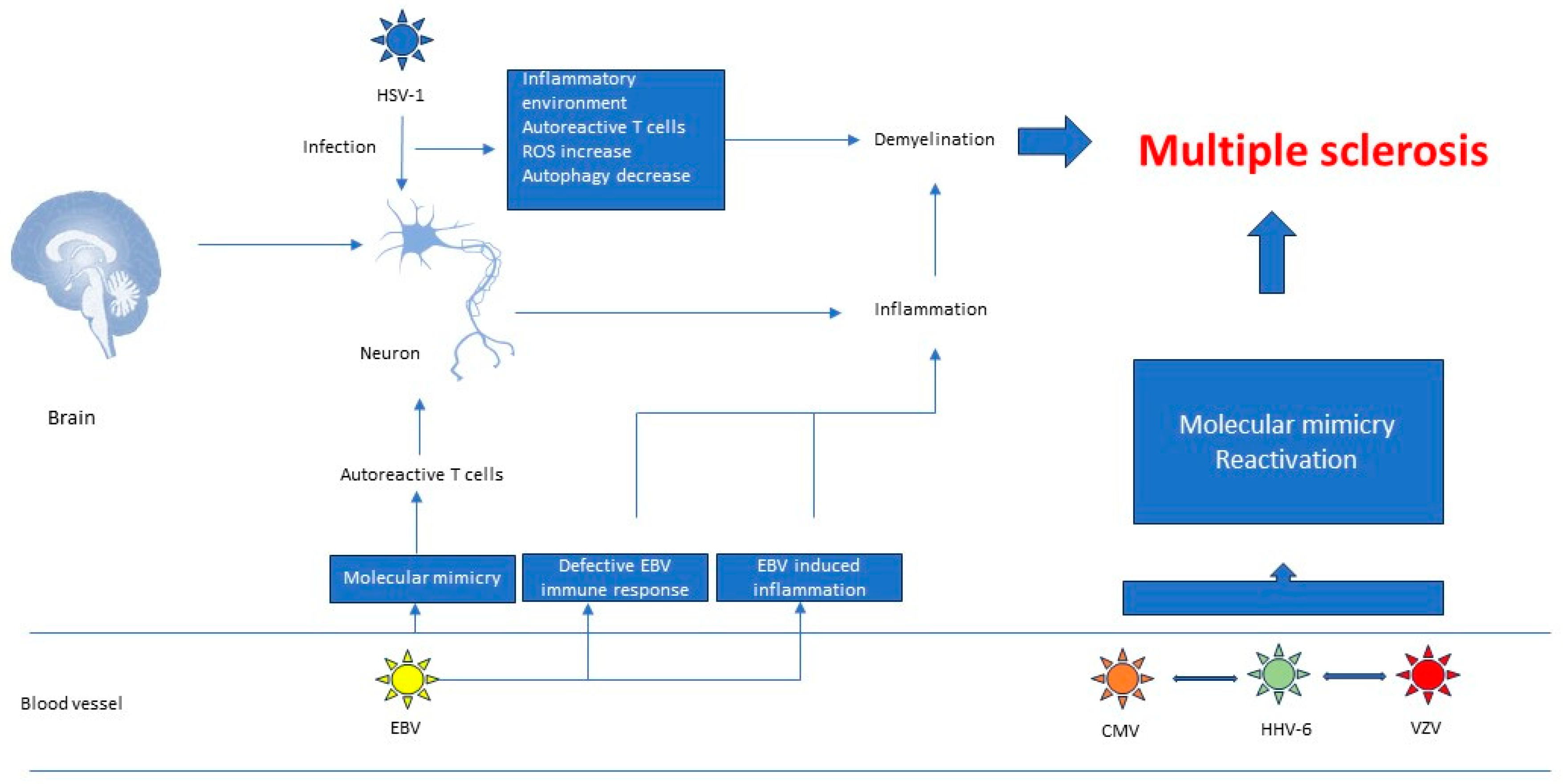 Viruses 16 00133 g003 Viruses 16 00133 g003