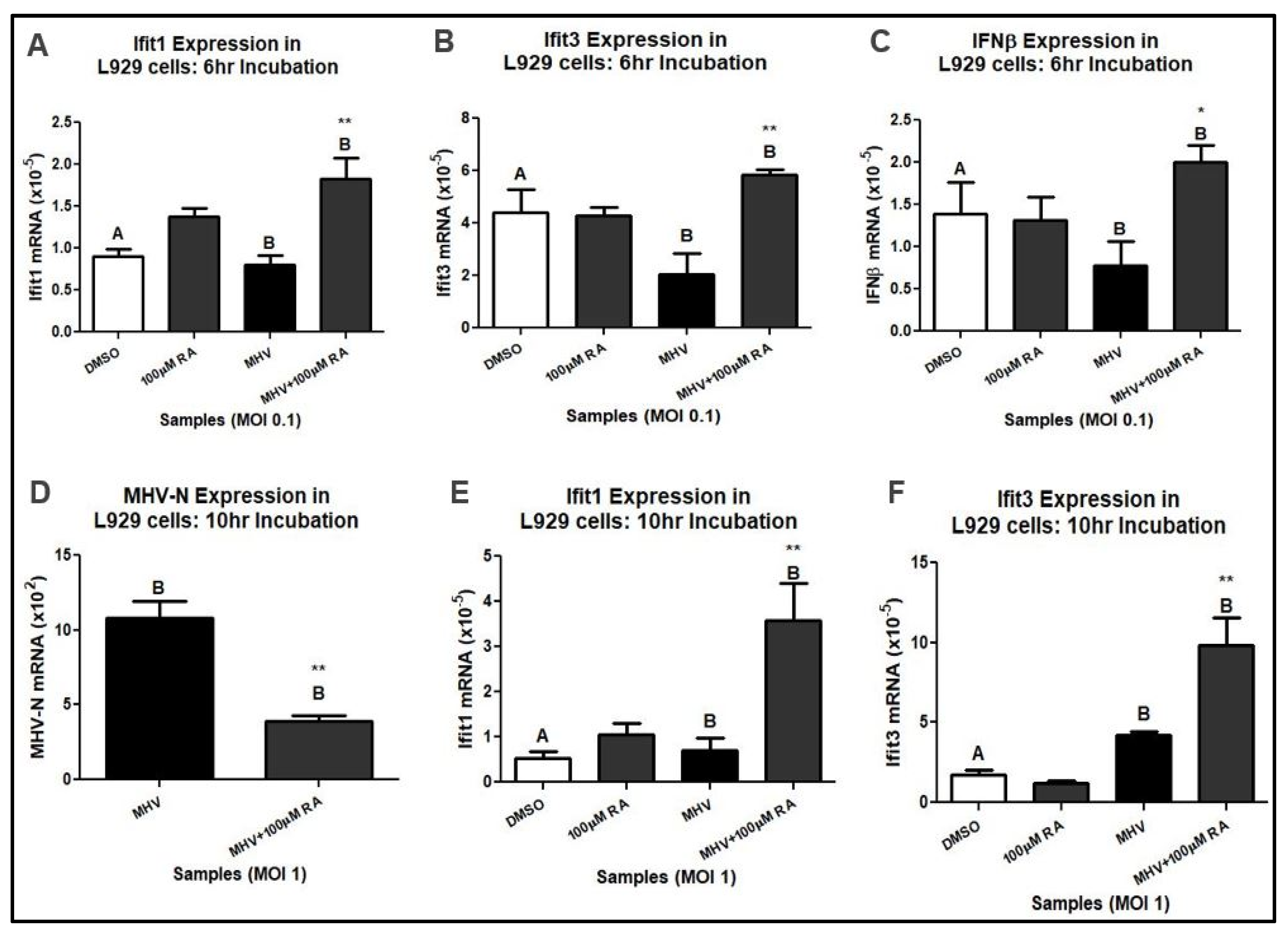 Viruses 16 00140 g001