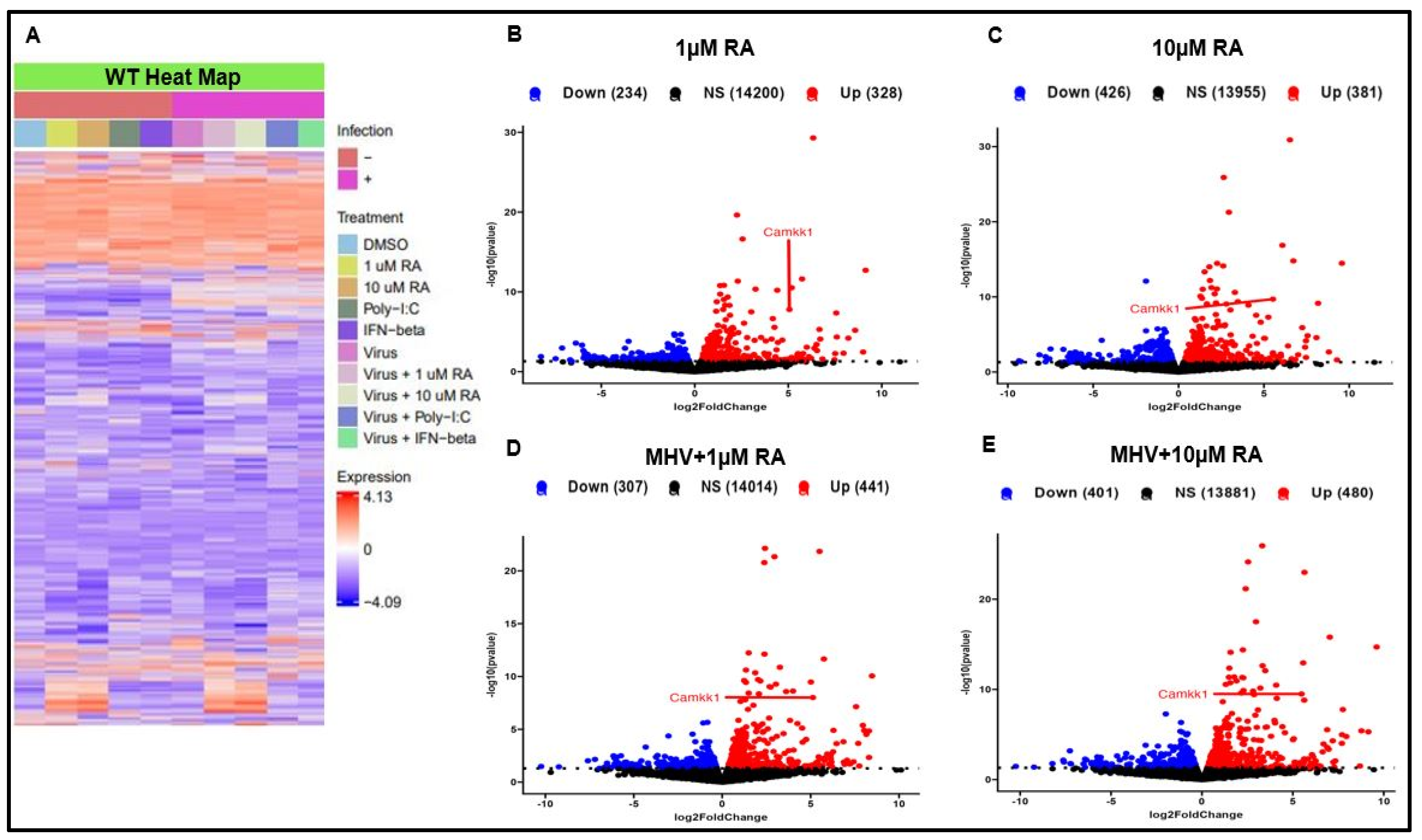 Viruses 16 00140 g006