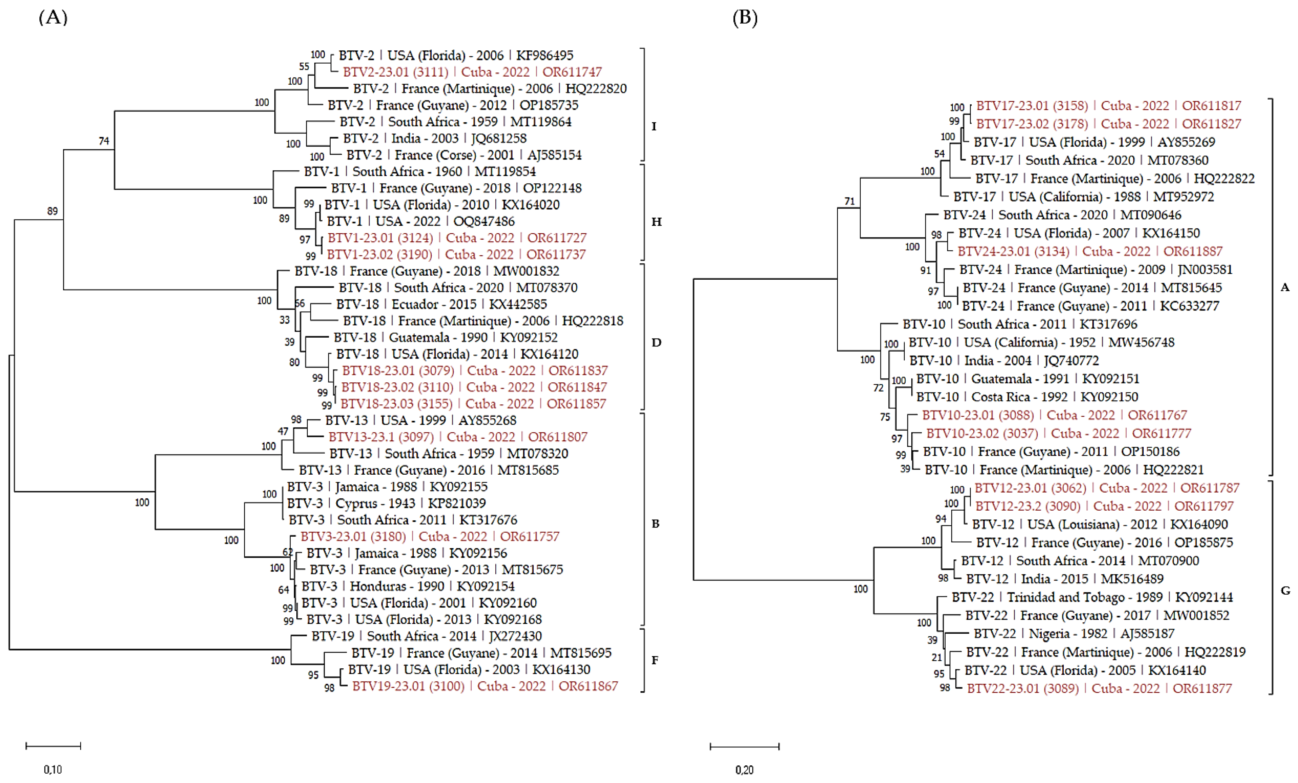 Viruses 16 00164 g002