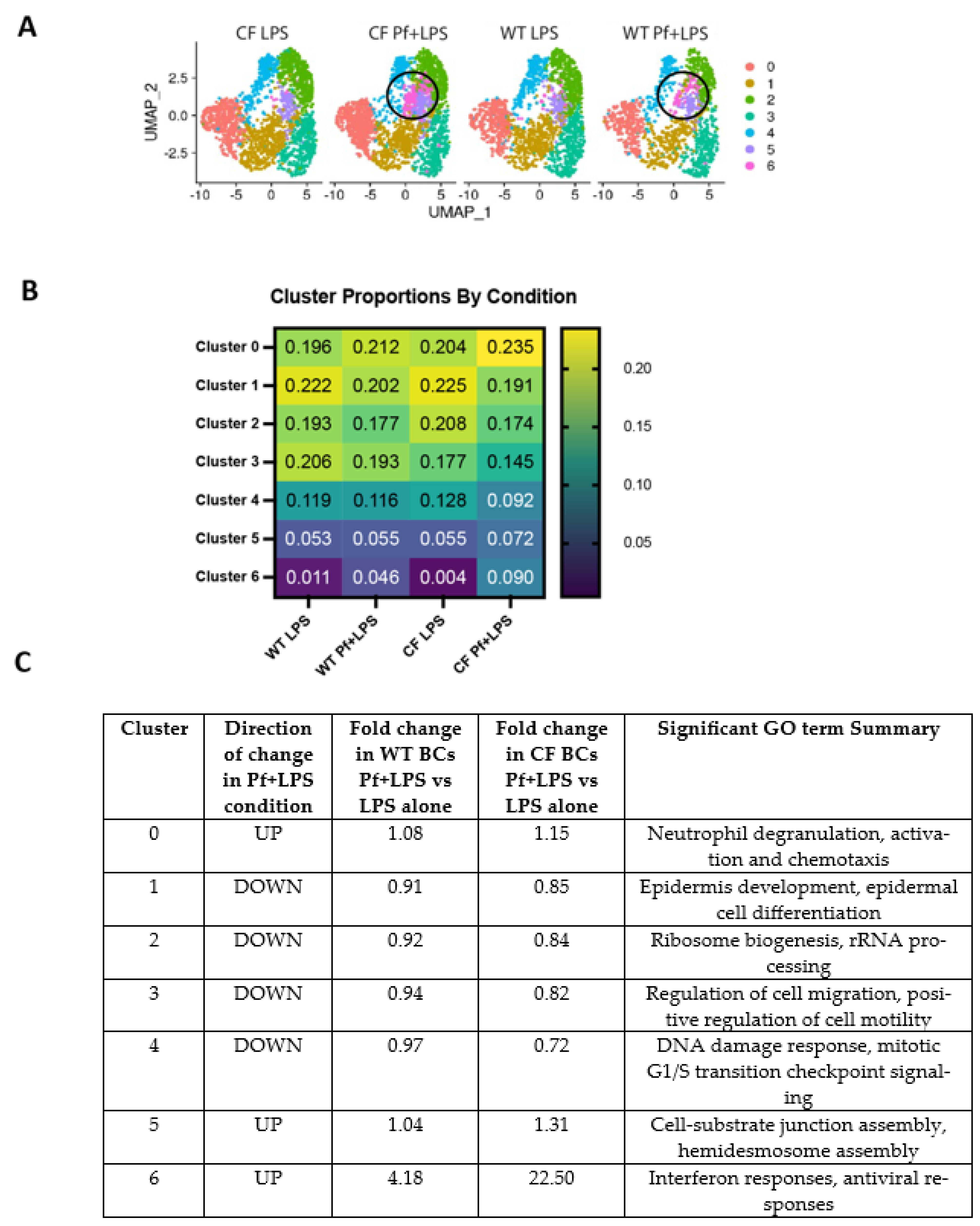 Viruses 16 00165 g002