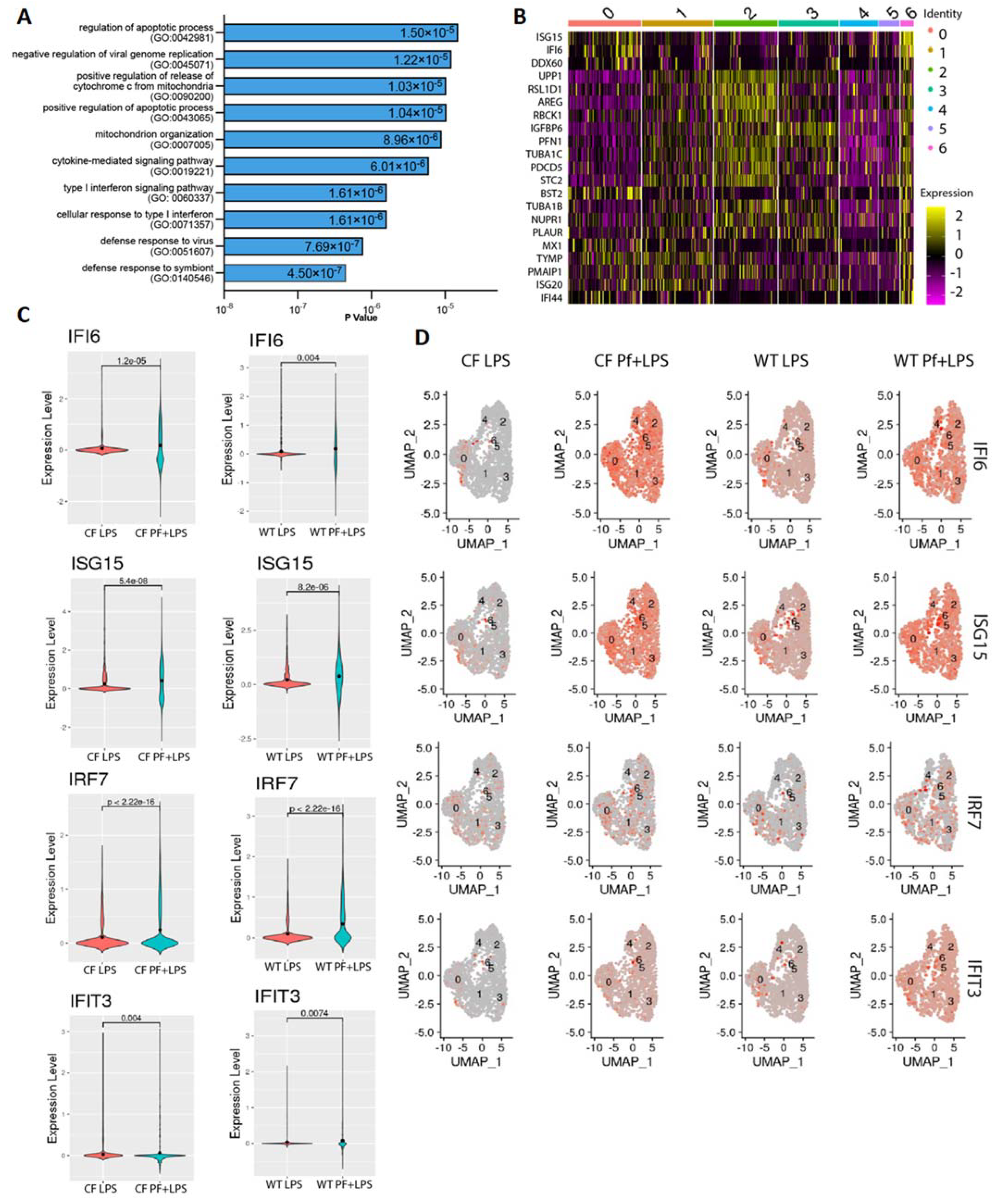Viruses 16 00165 g003