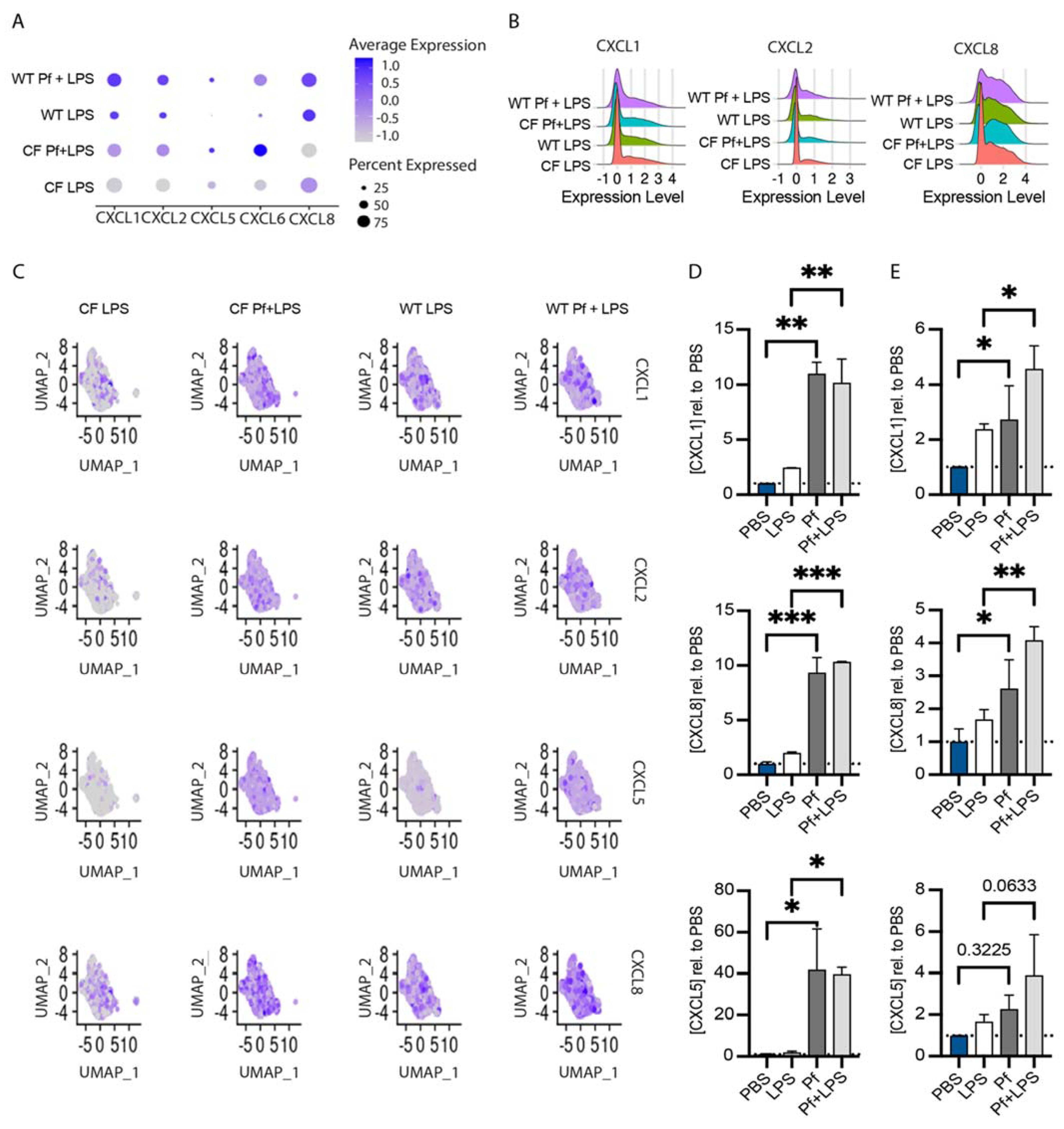 Viruses 16 00165 g006