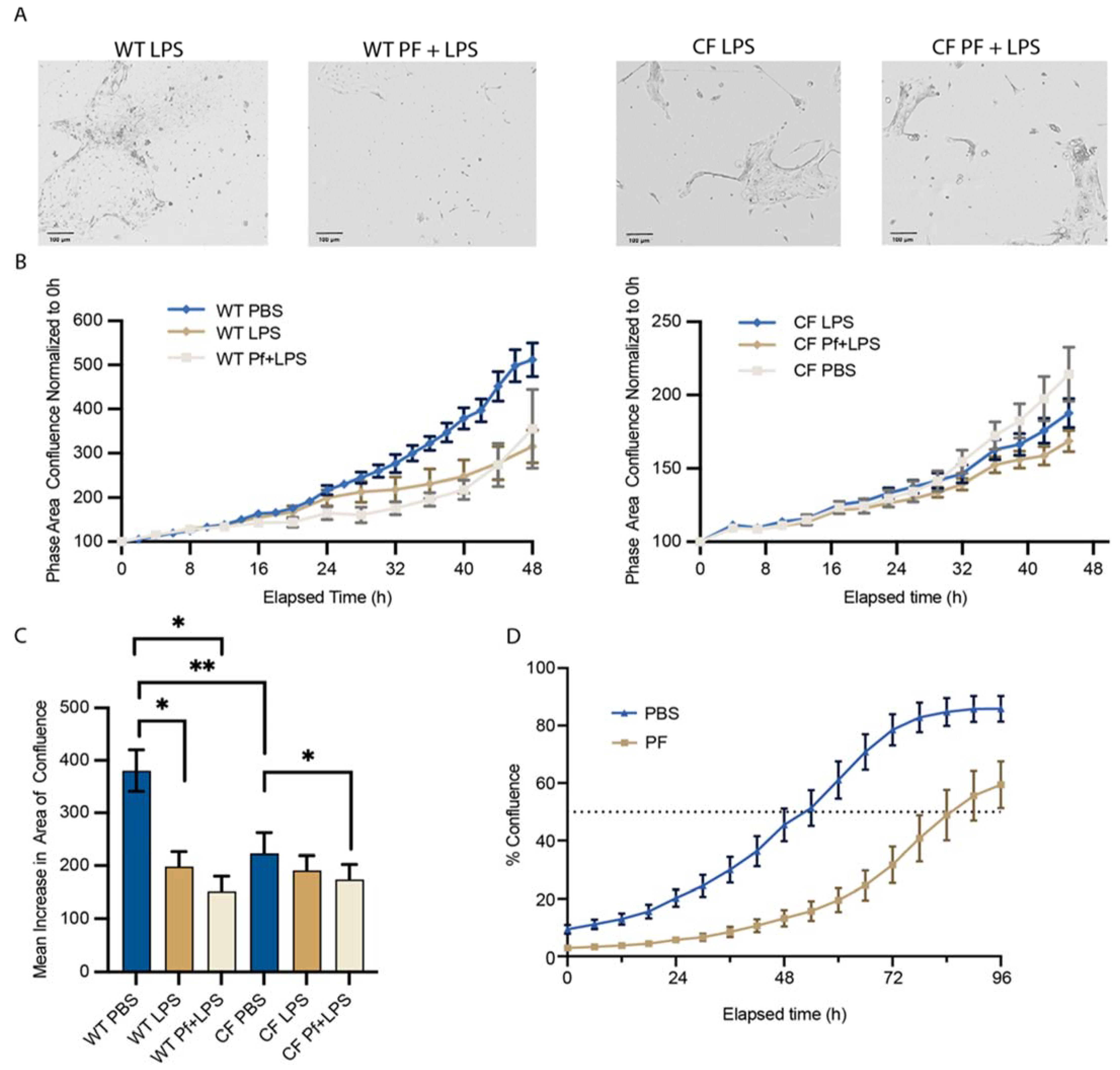 Viruses 16 00165 g007