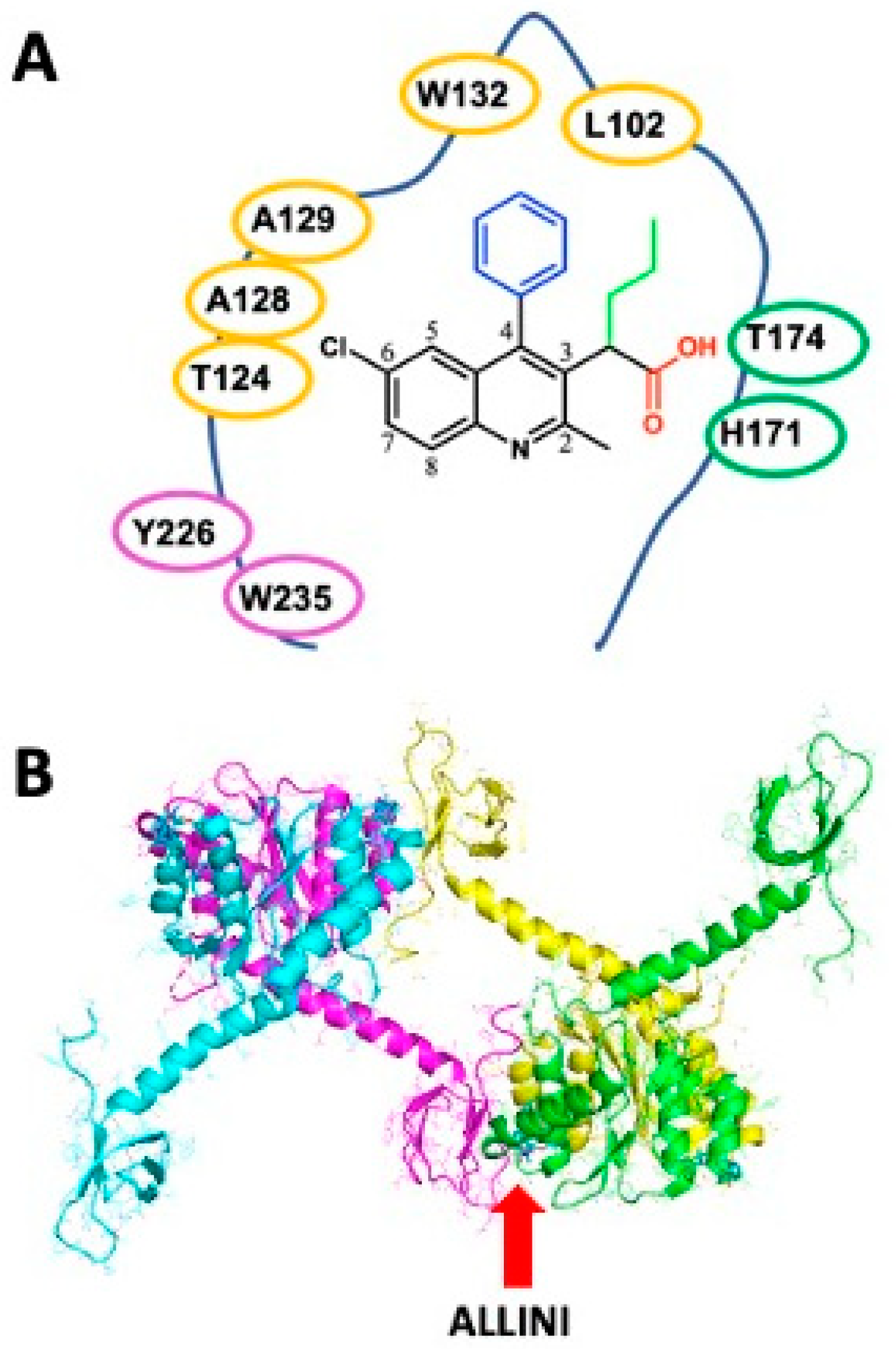 Viruses 16 00200 g005
