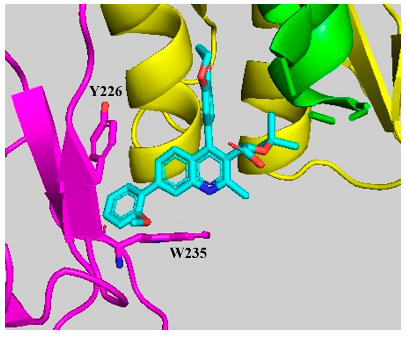 Viruses 16 00200 g007