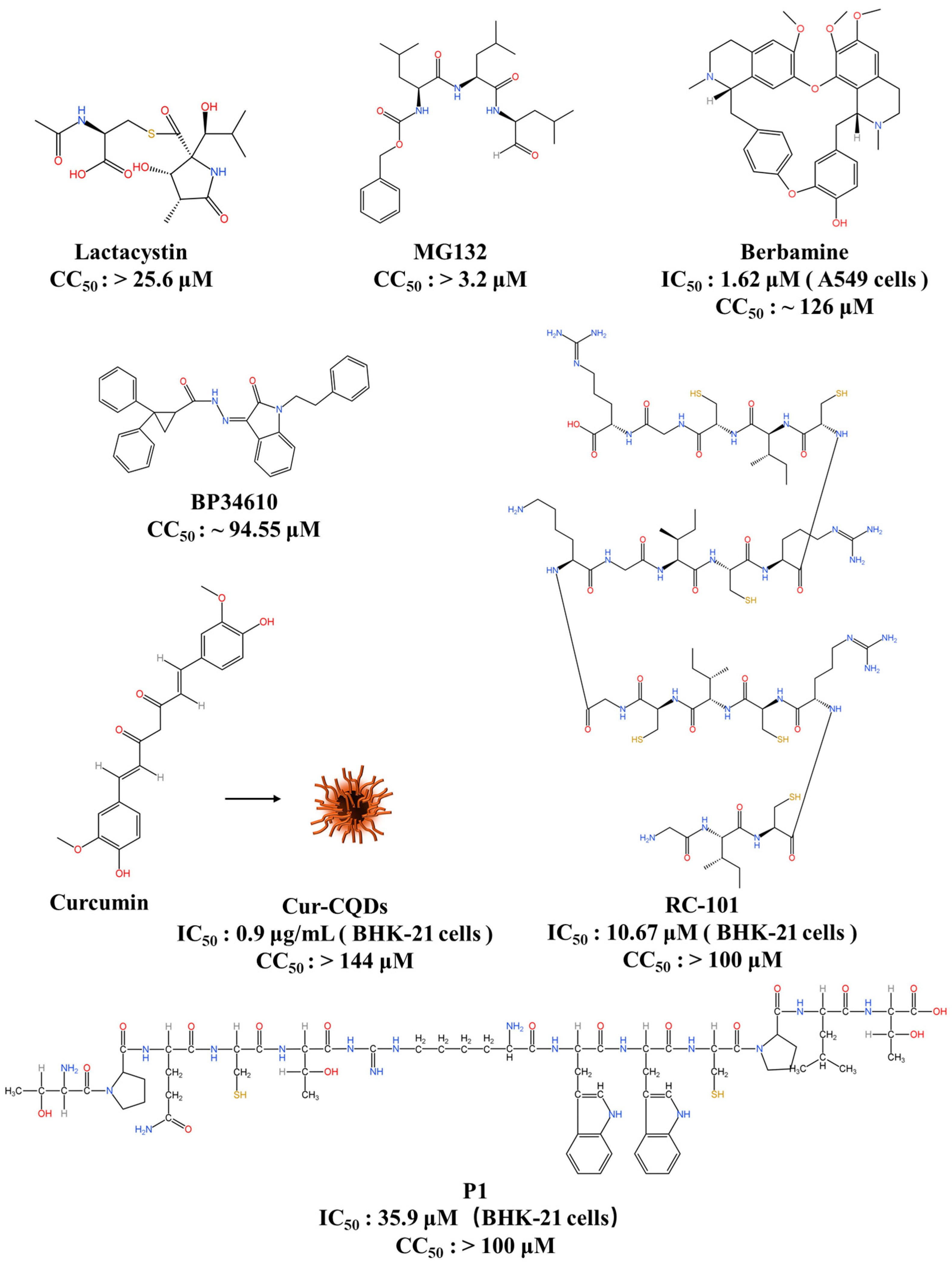 Viruses 16 00202 g004 Viruses 16 00202 g004