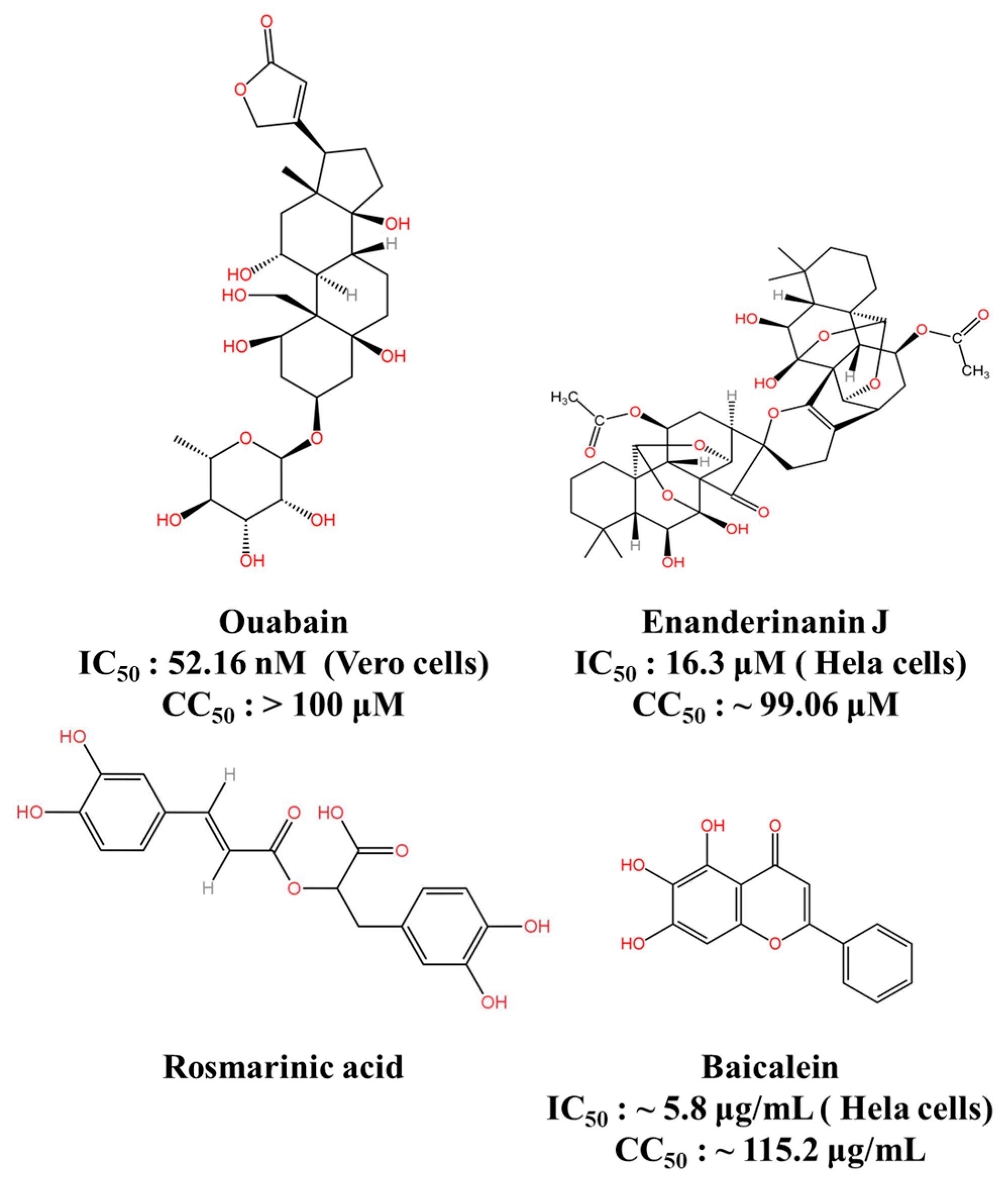 Viruses 16 00202 g007 Viruses 16 00202 g007