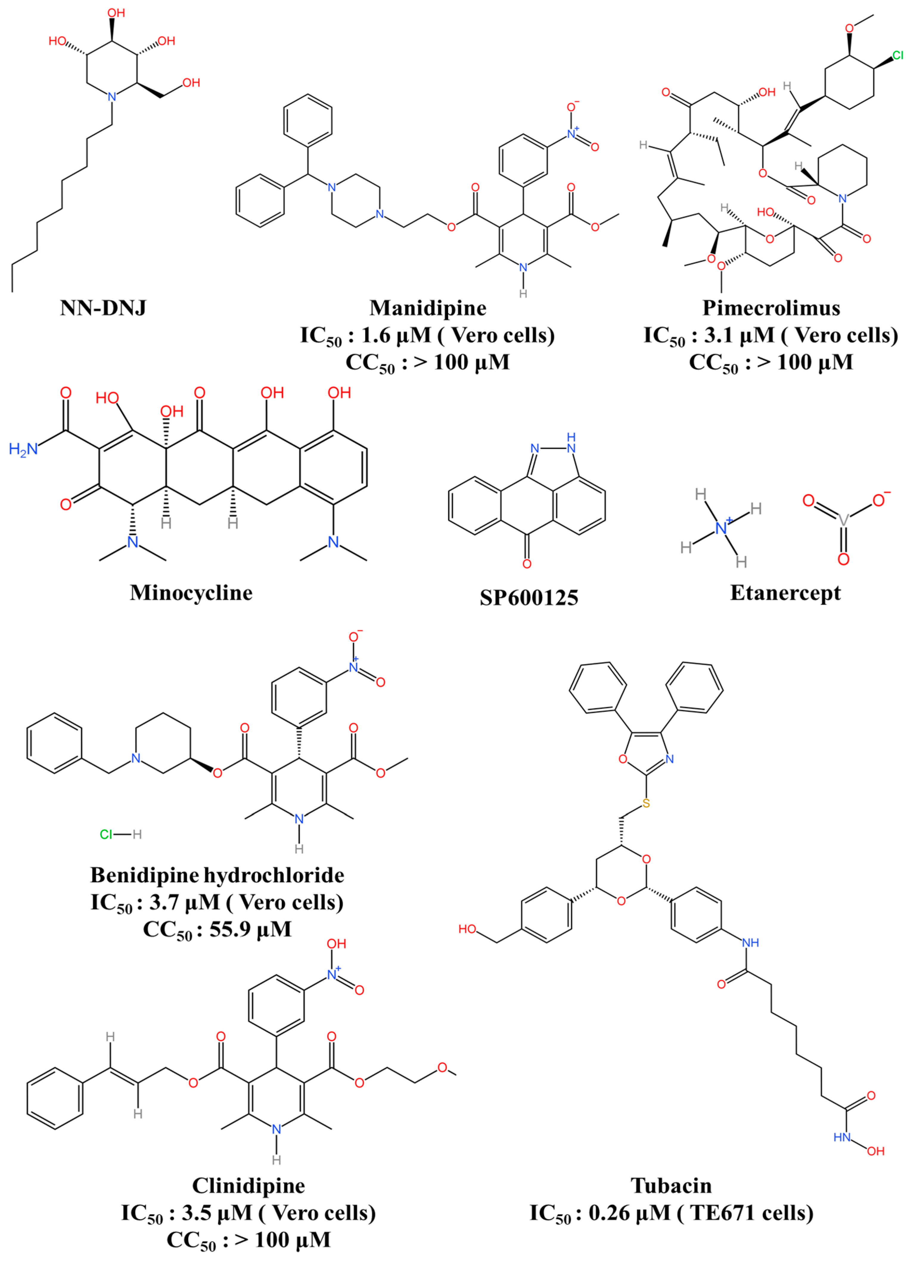 Viruses 16 00202 g008 Viruses 16 00202 g008