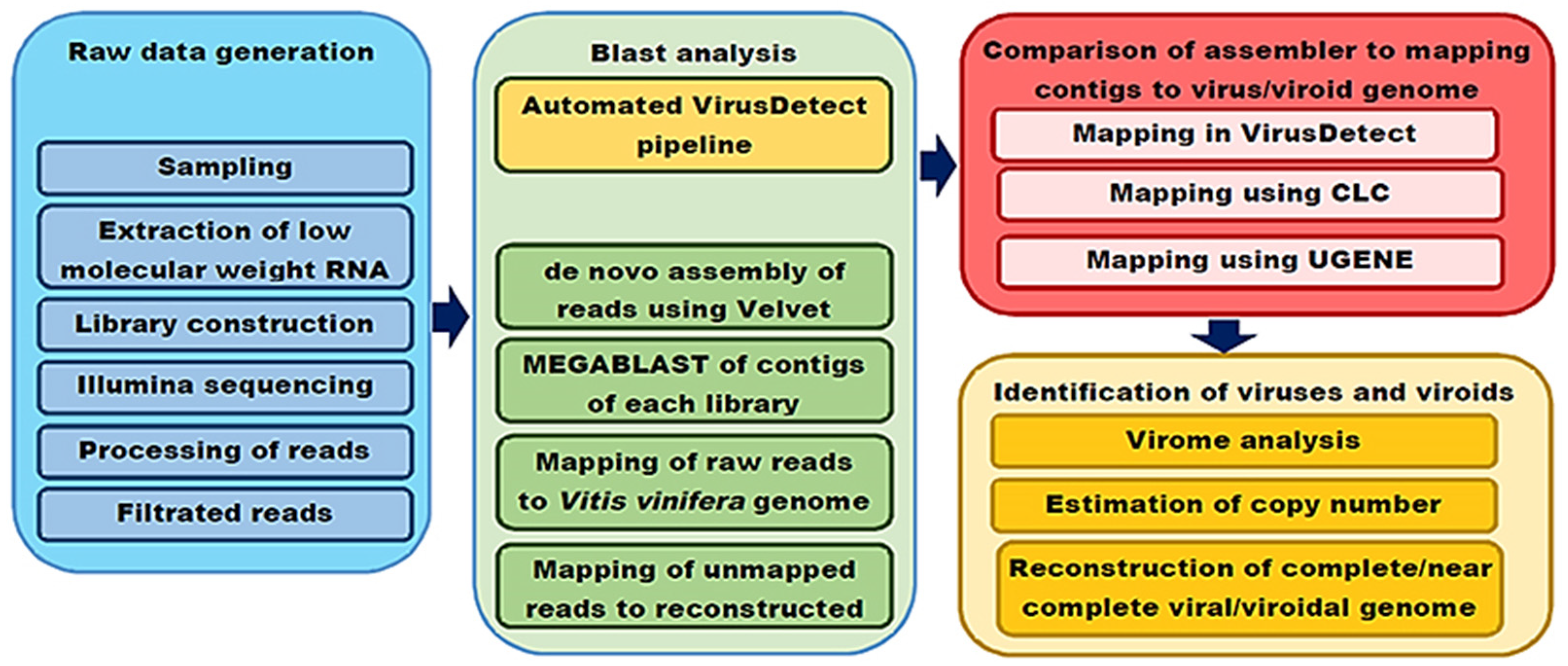 Viruses 16 00204 g002