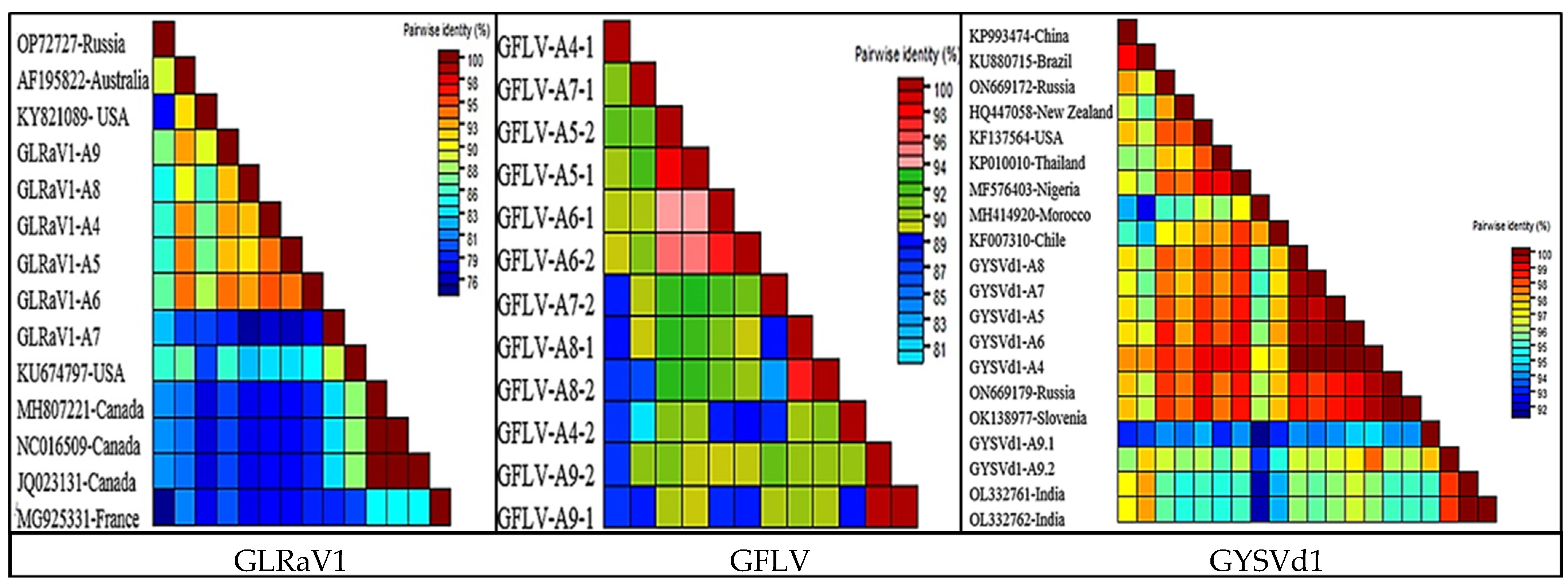 Viruses 16 00204 g006