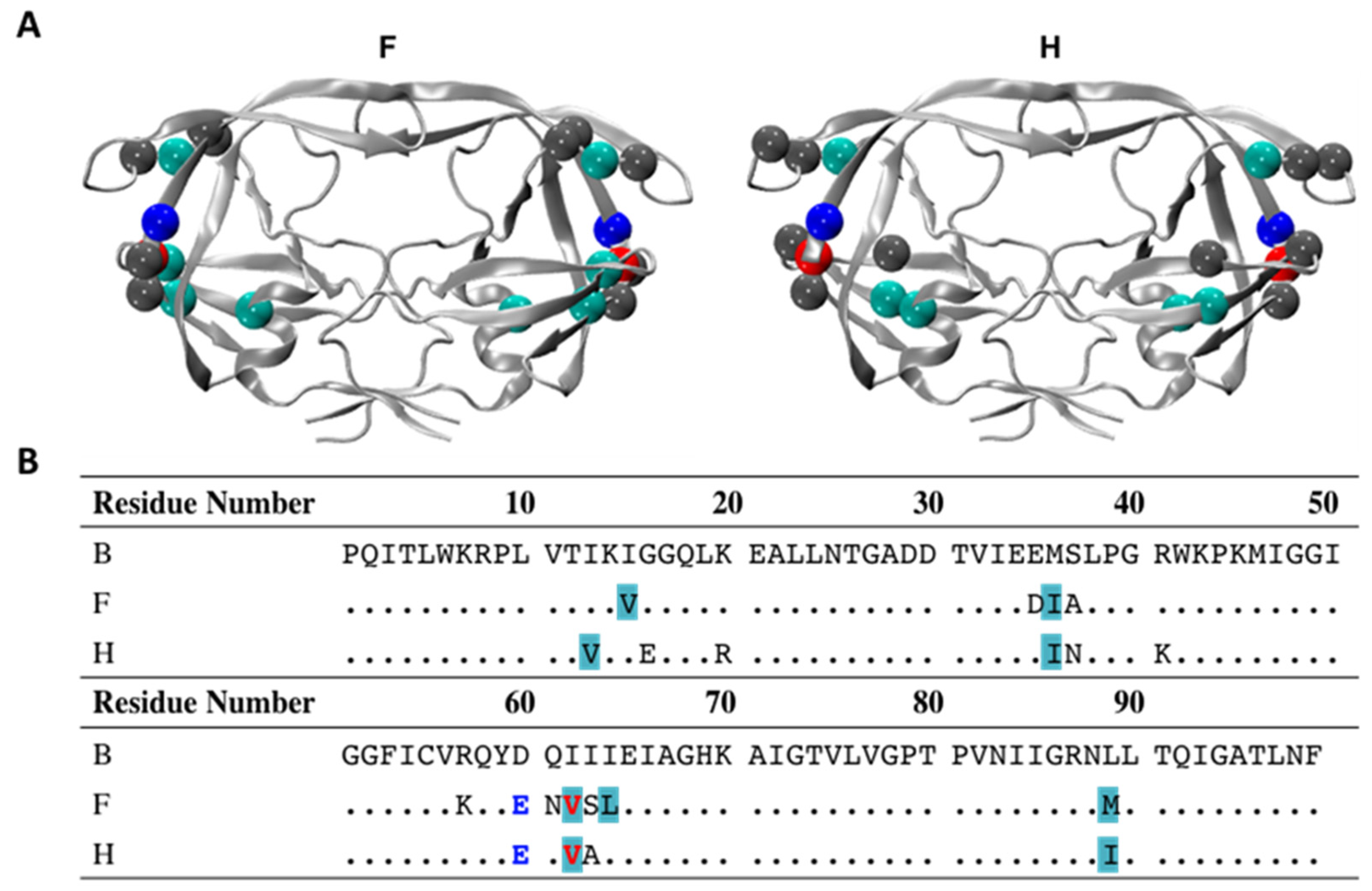 Viruses 16 00236 g002
