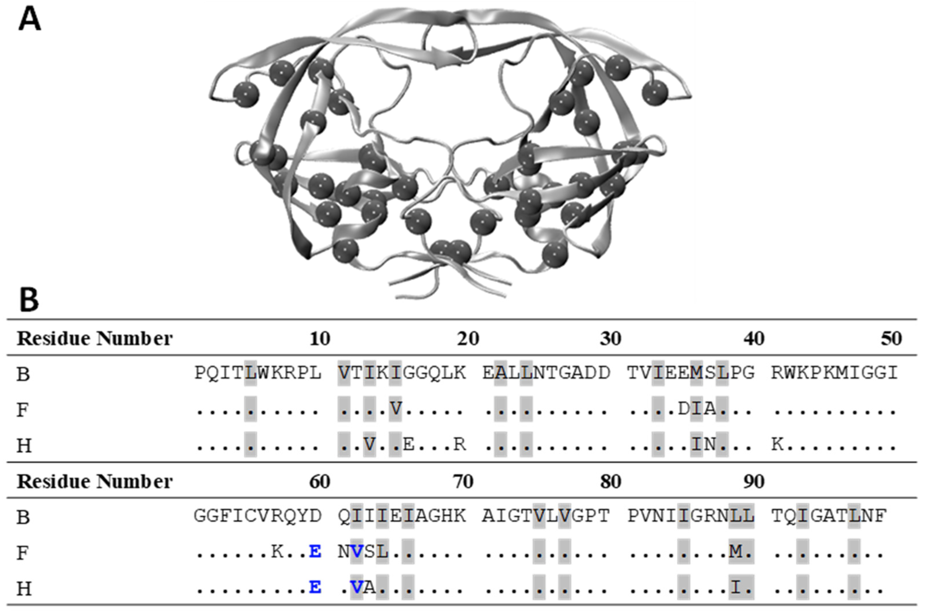 Viruses 16 00236 g004