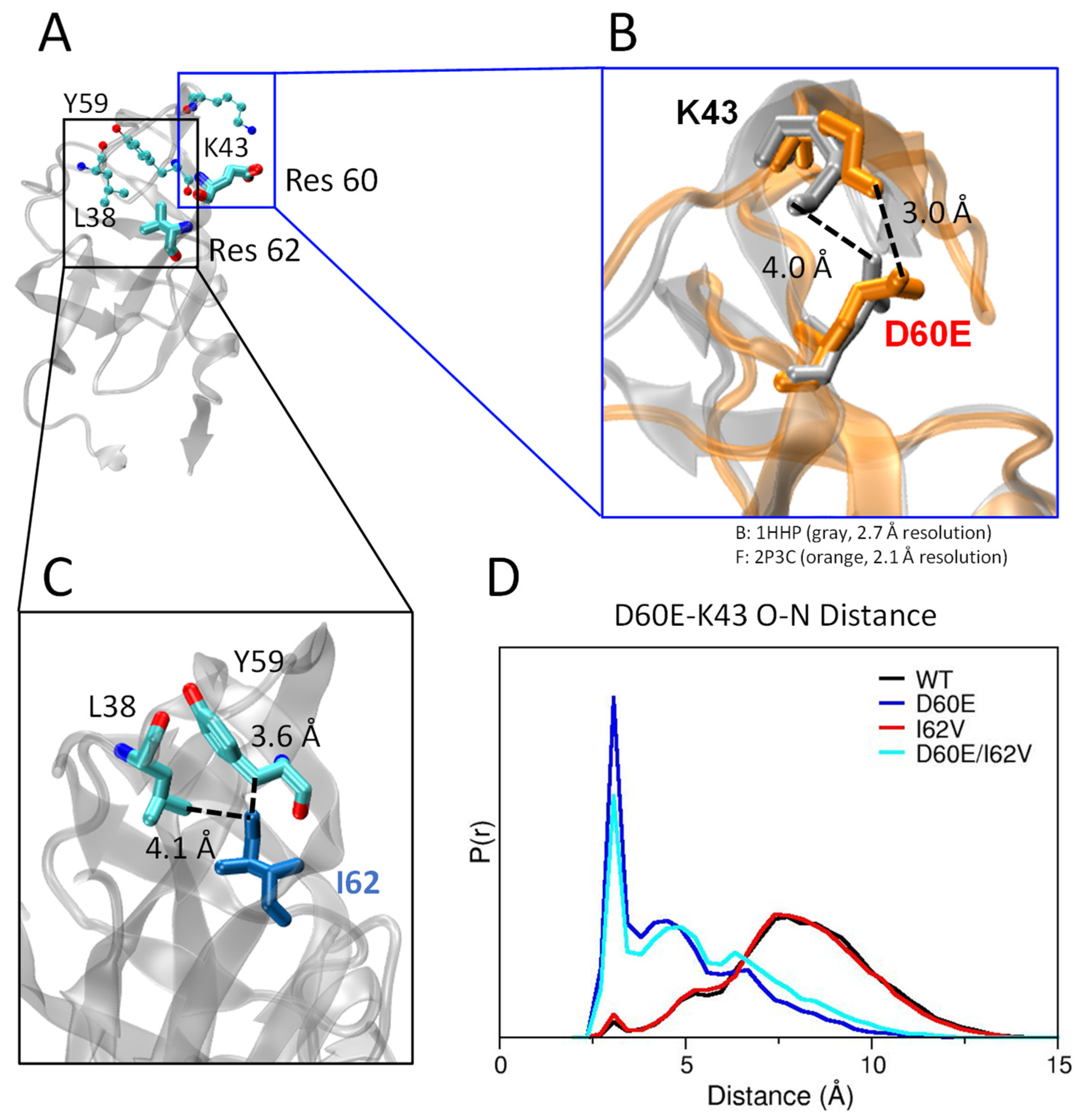 Viruses 16 00236 g006