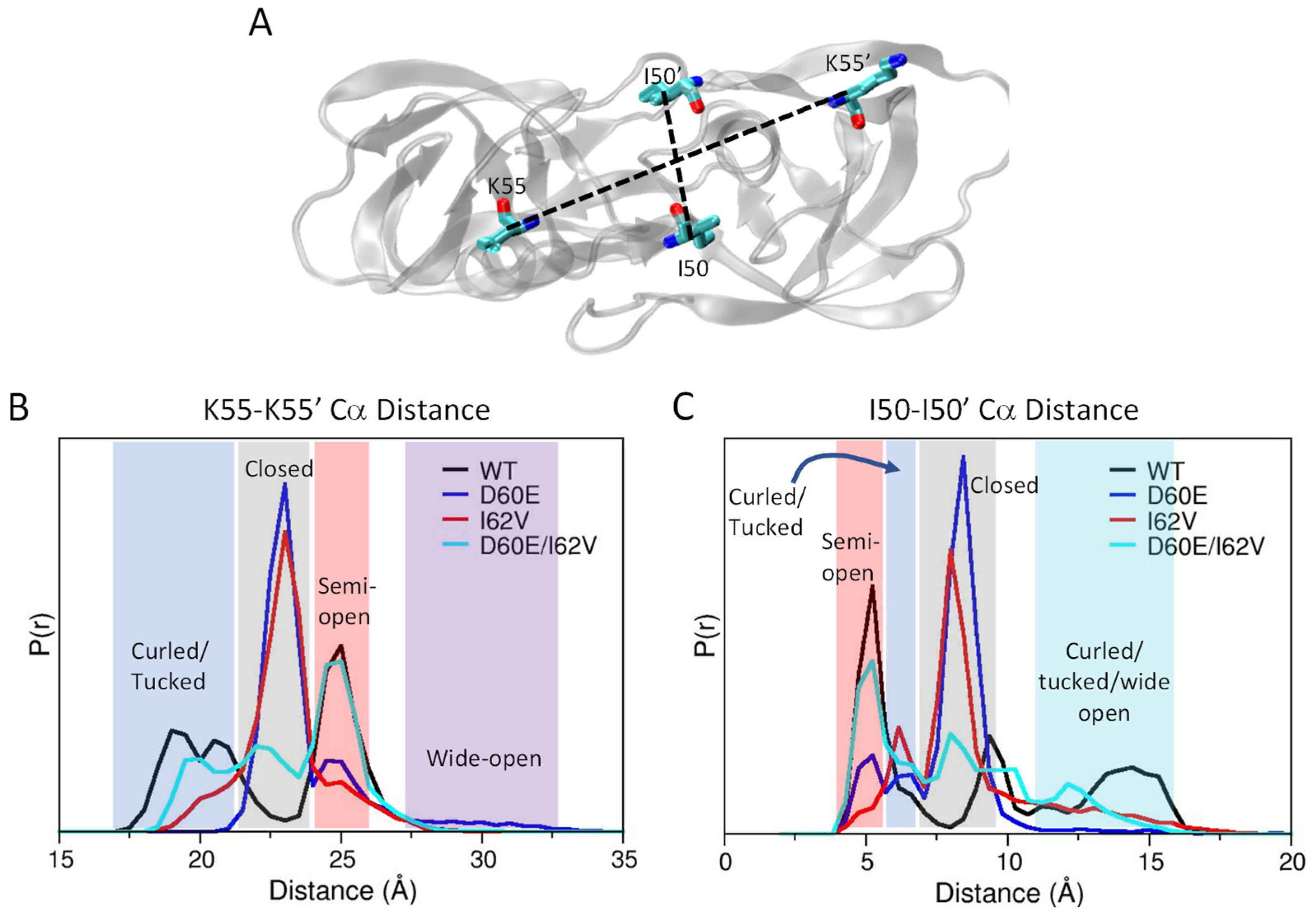 Viruses 16 00236 g007
