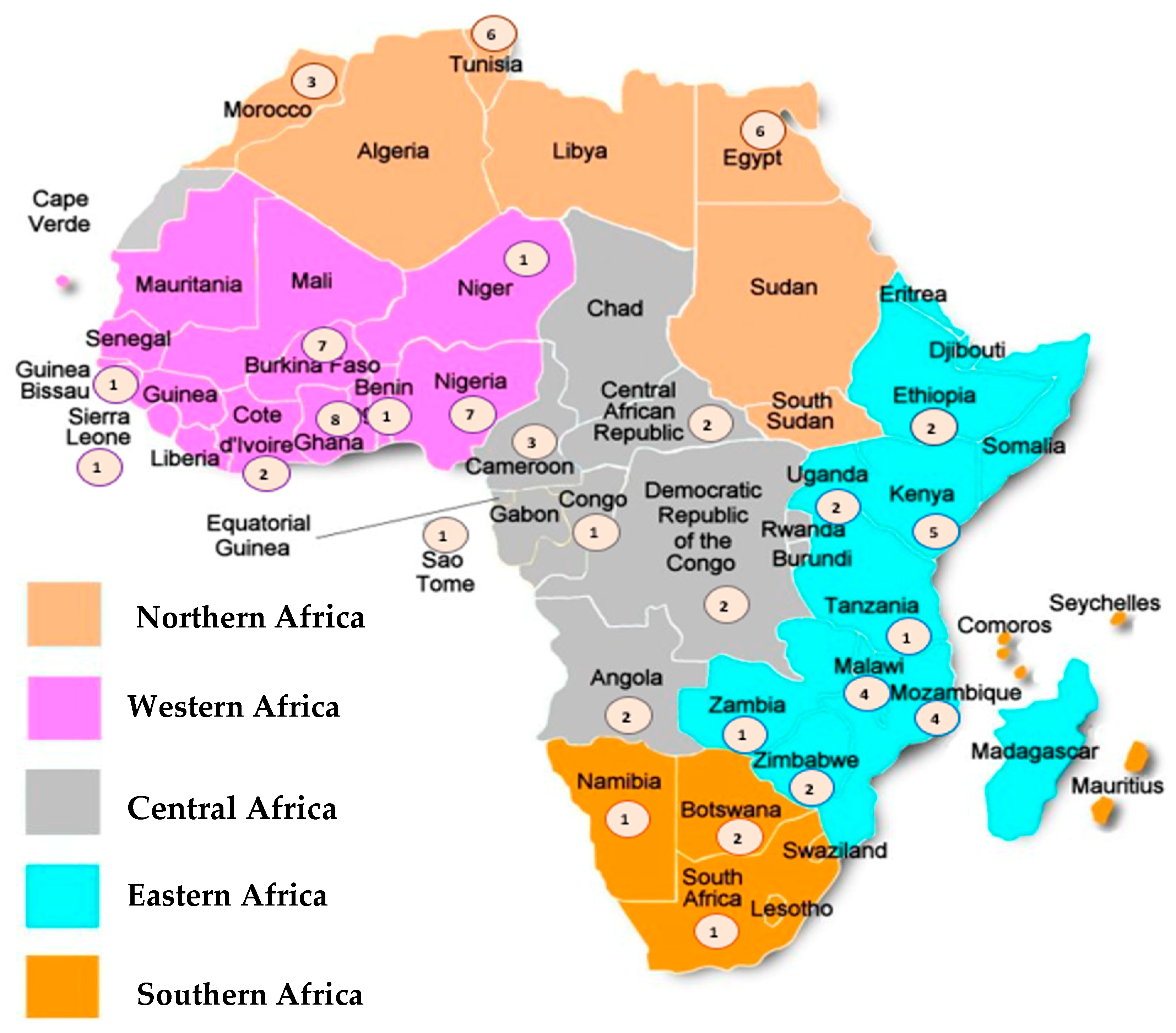 Viruses 16 00243 g002