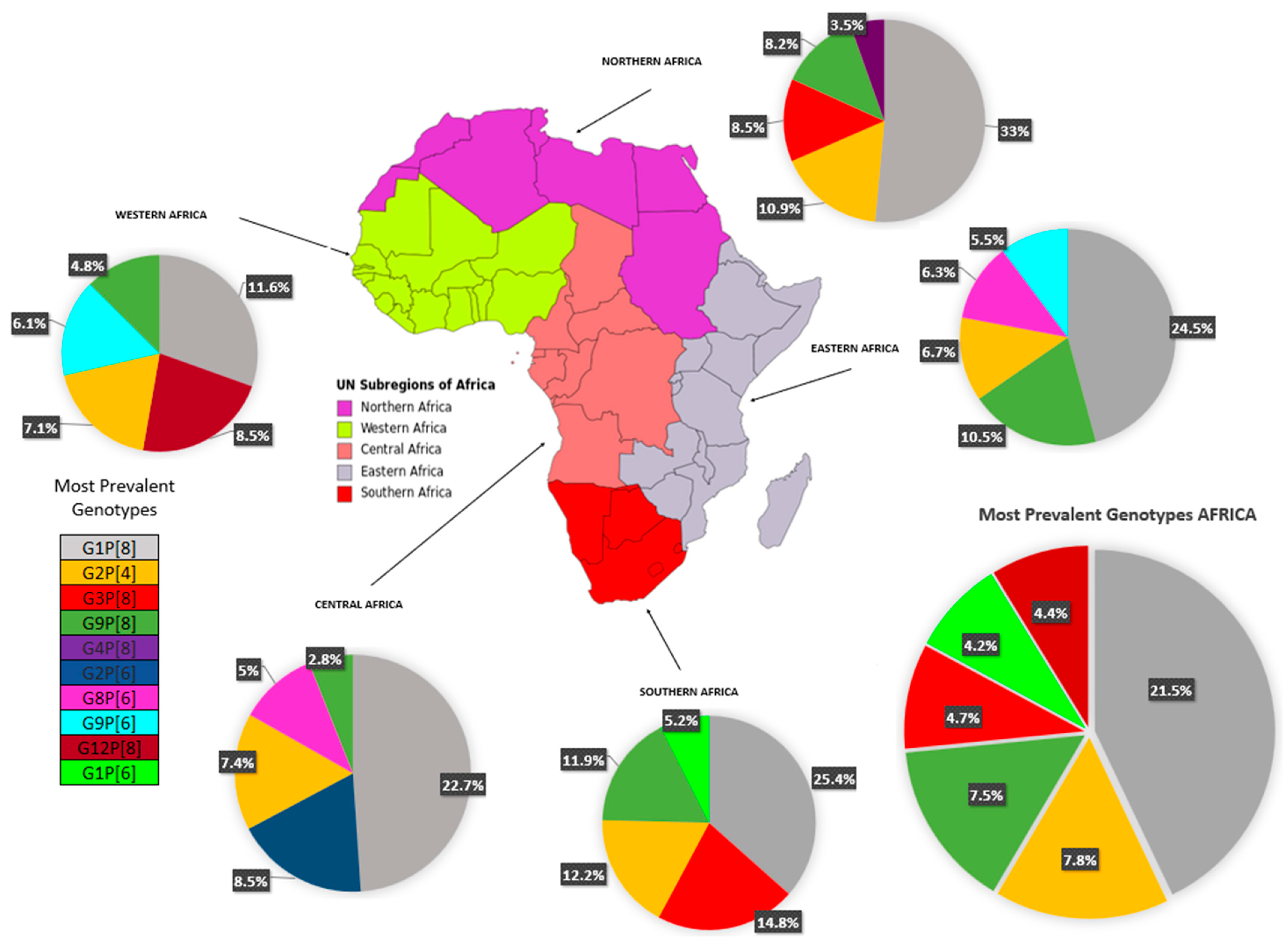Viruses 16 00243 g003