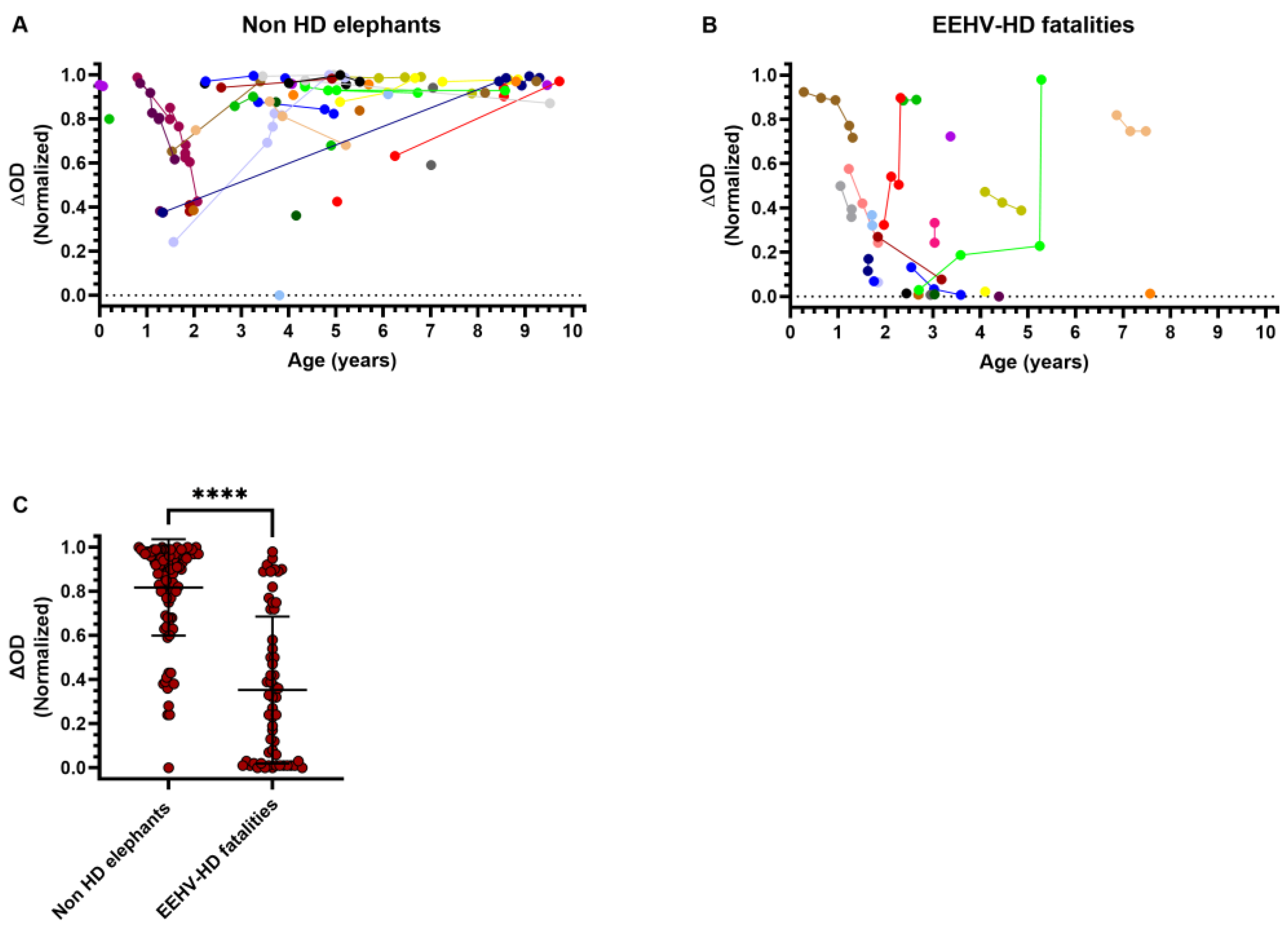 Viruses 16 00268 g001