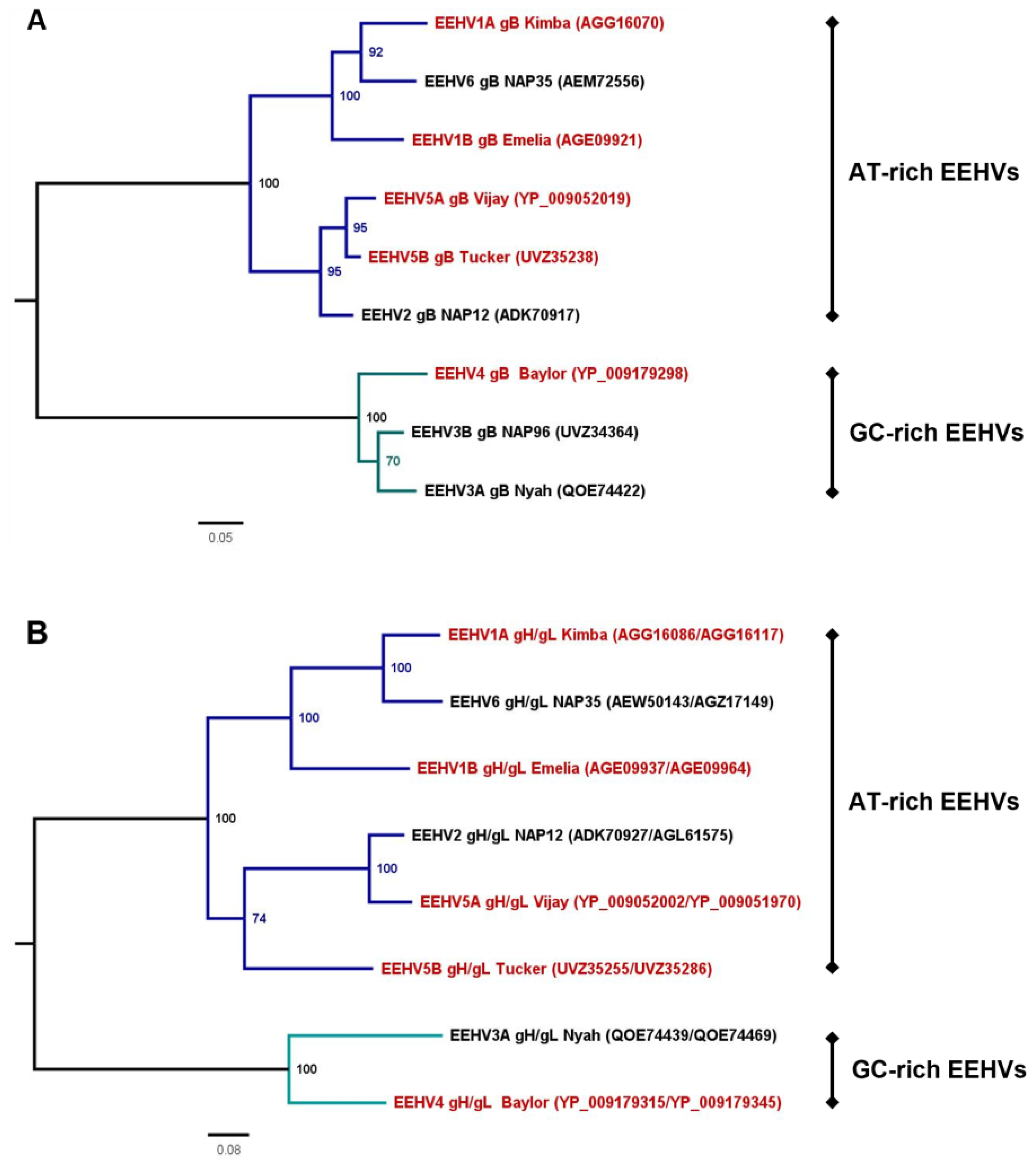 Viruses 16 00268 g002