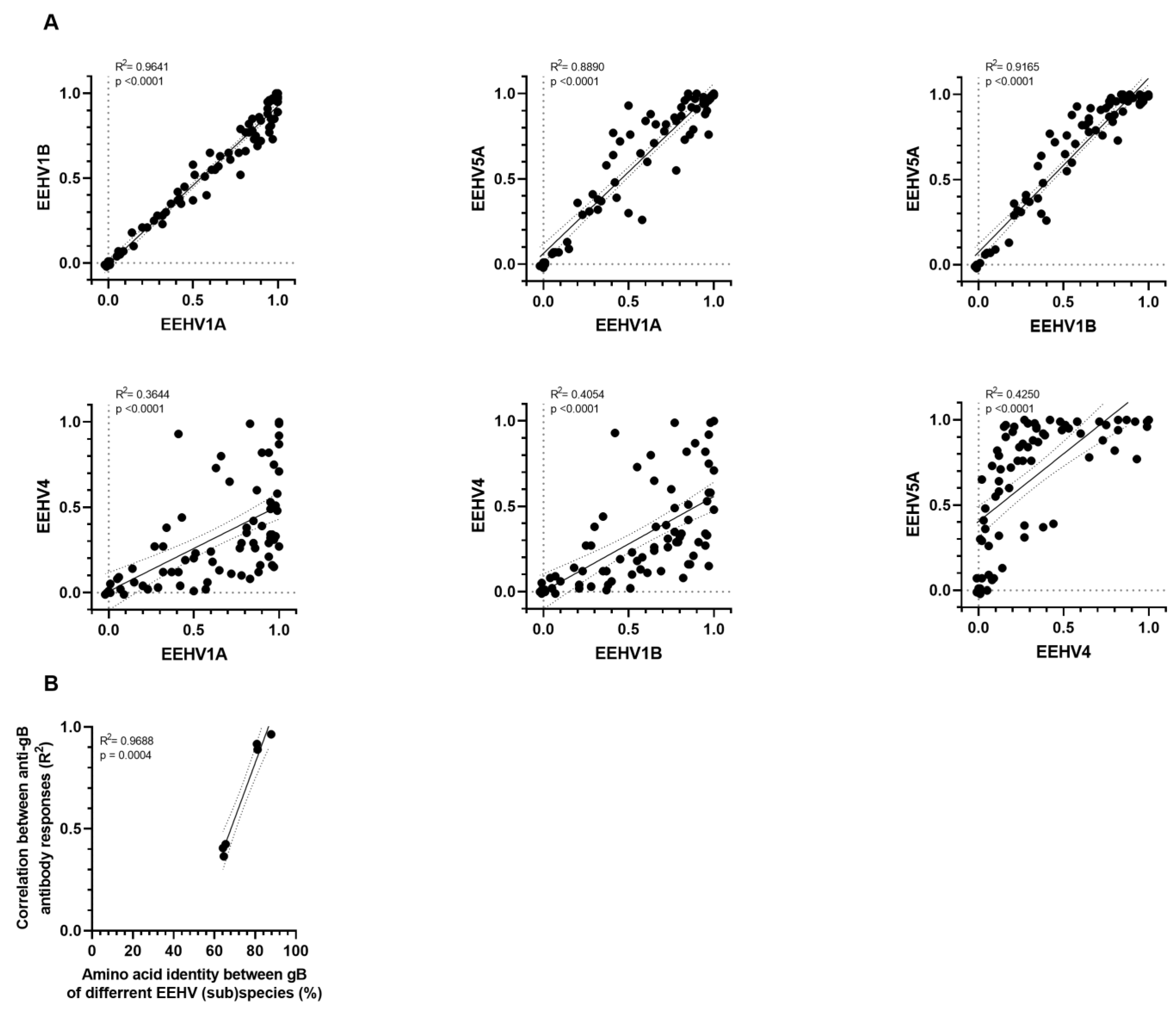 Viruses 16 00268 g005