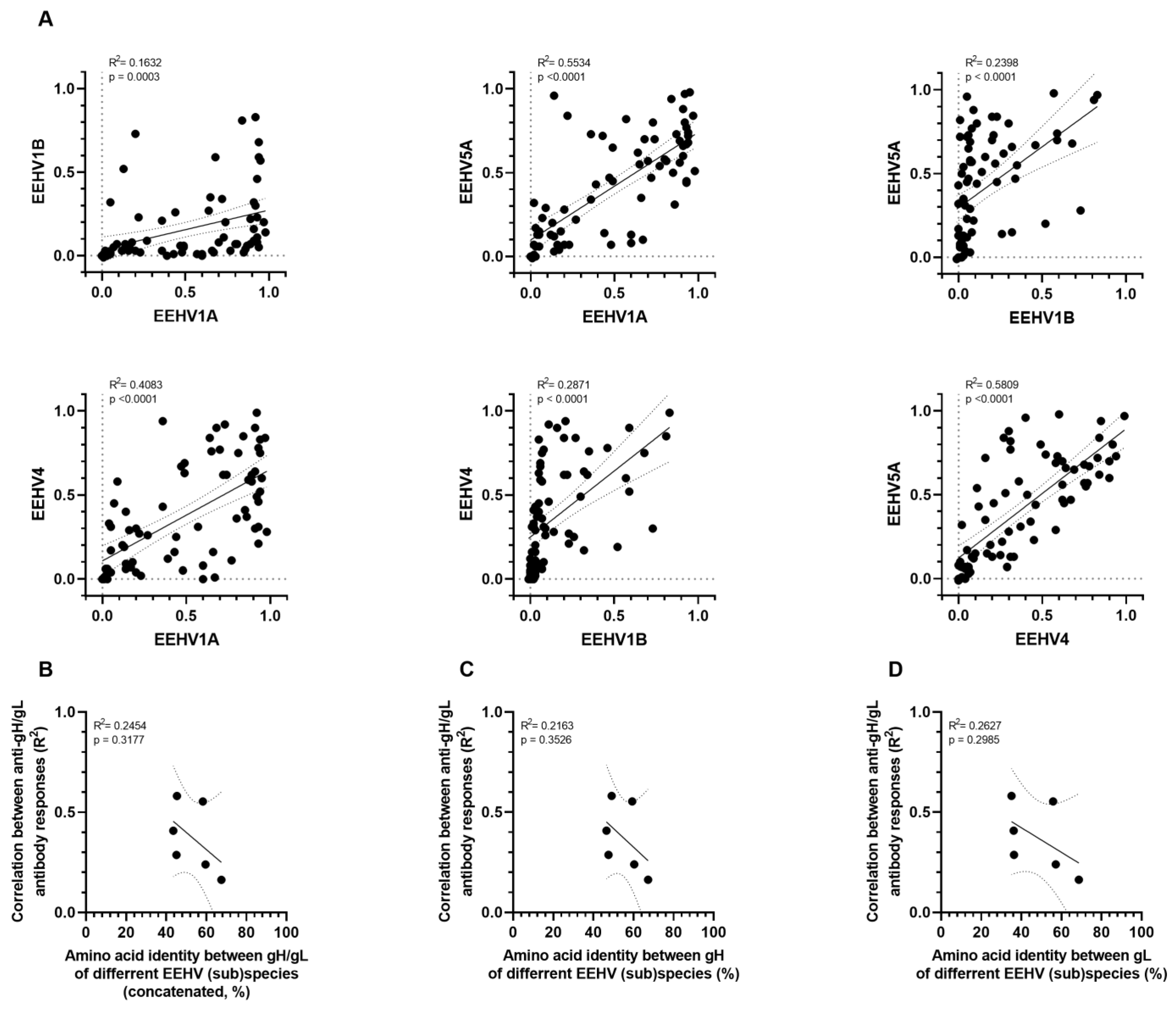 Viruses 16 00268 g006