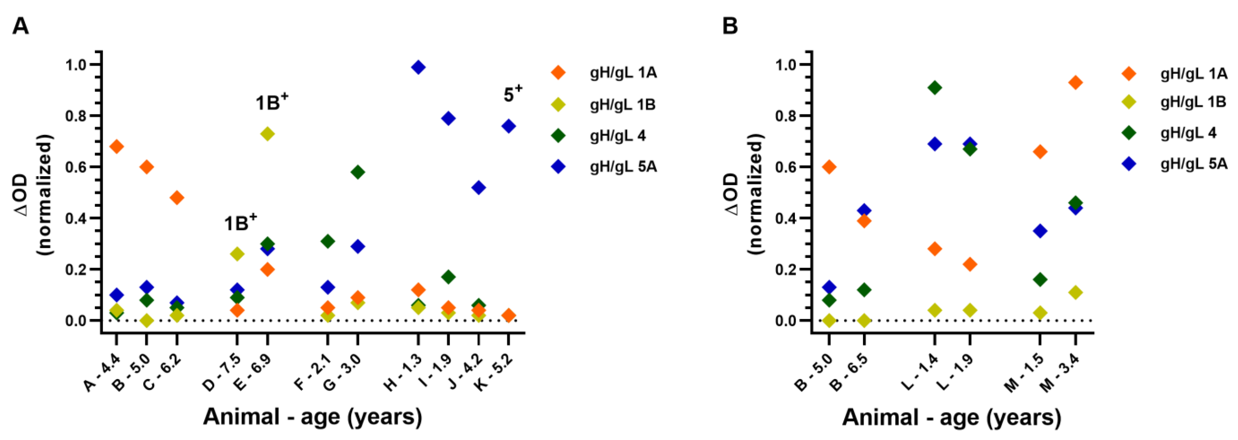 Viruses 16 00268 g007