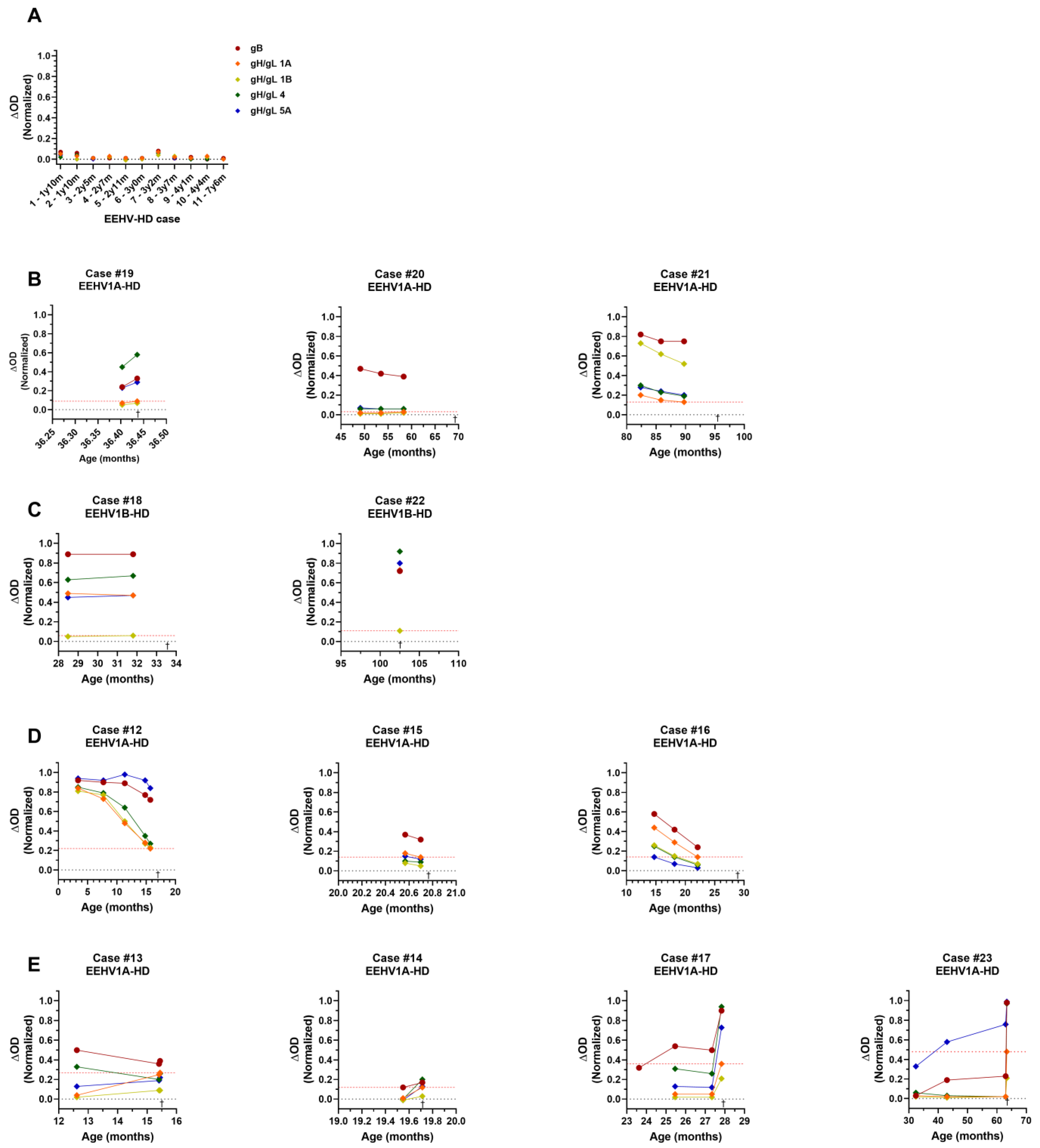 Viruses 16 00268 g008