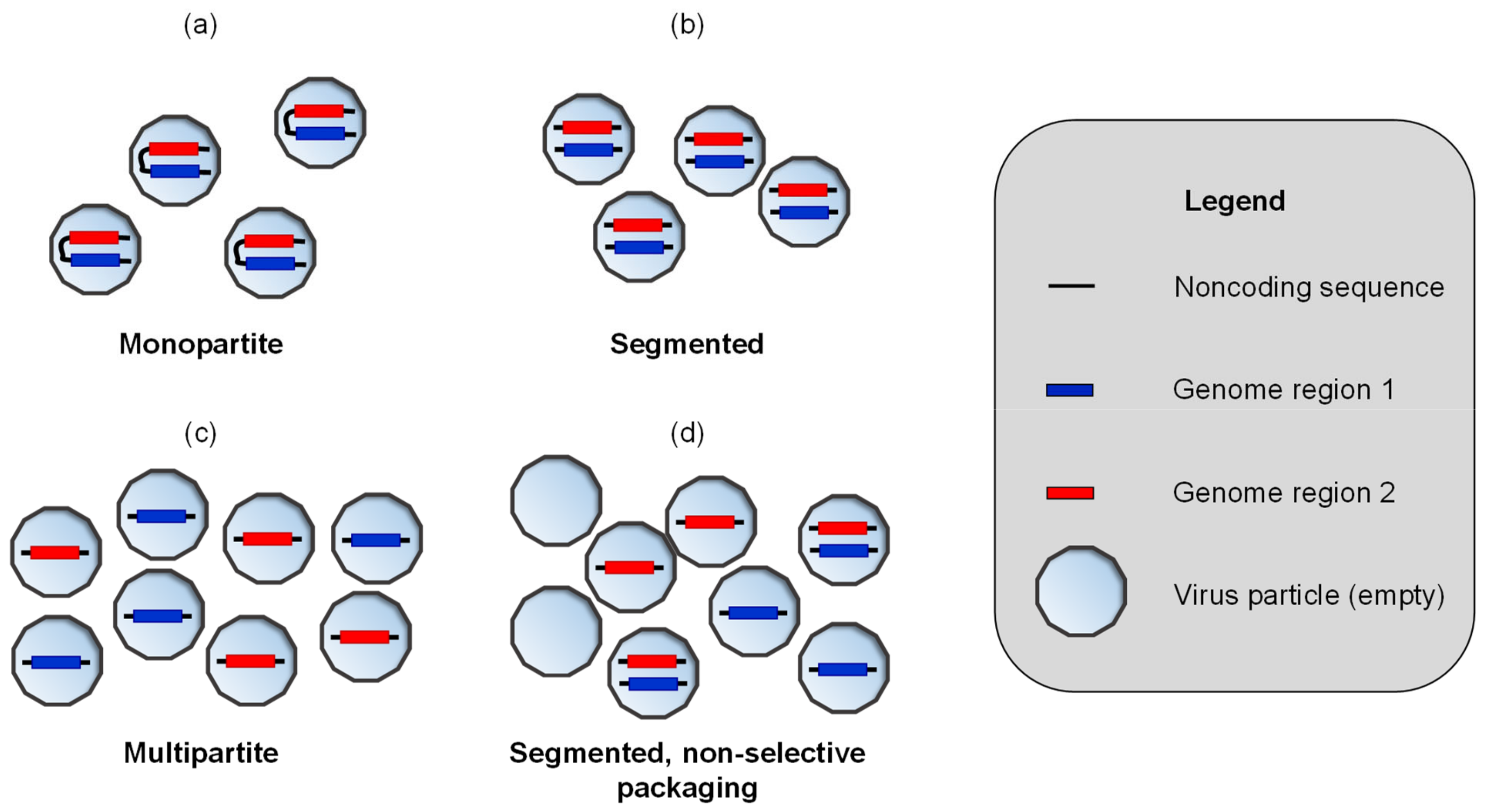 Viruses 16 00270 g001 Viruses 16 00270 g001