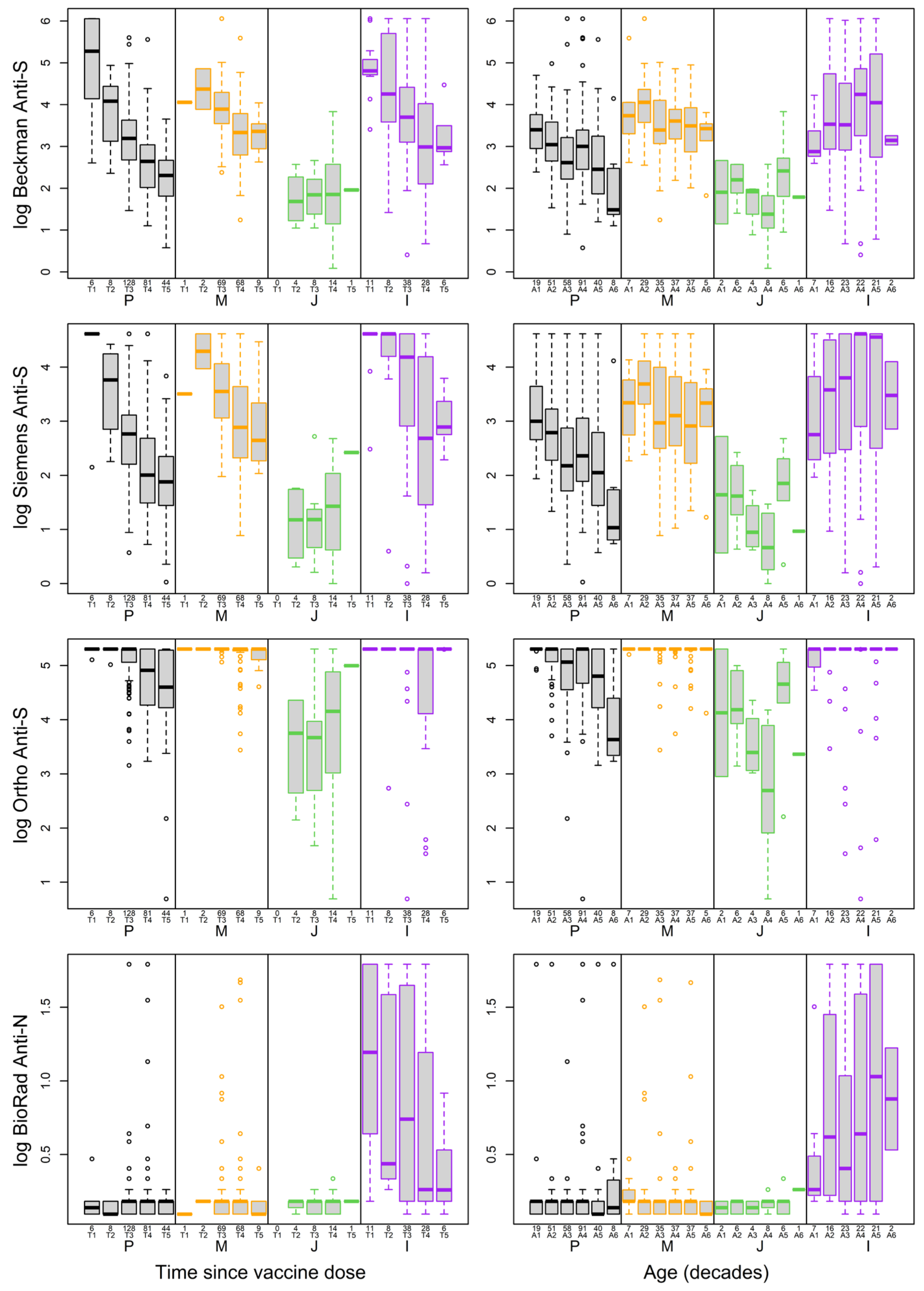 Viruses 16 00292 g005