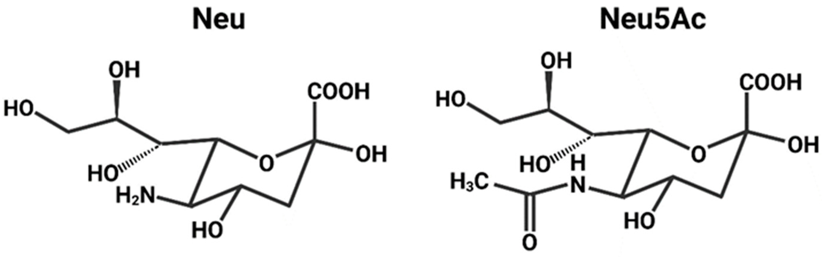 Viruses 16 00316 g011