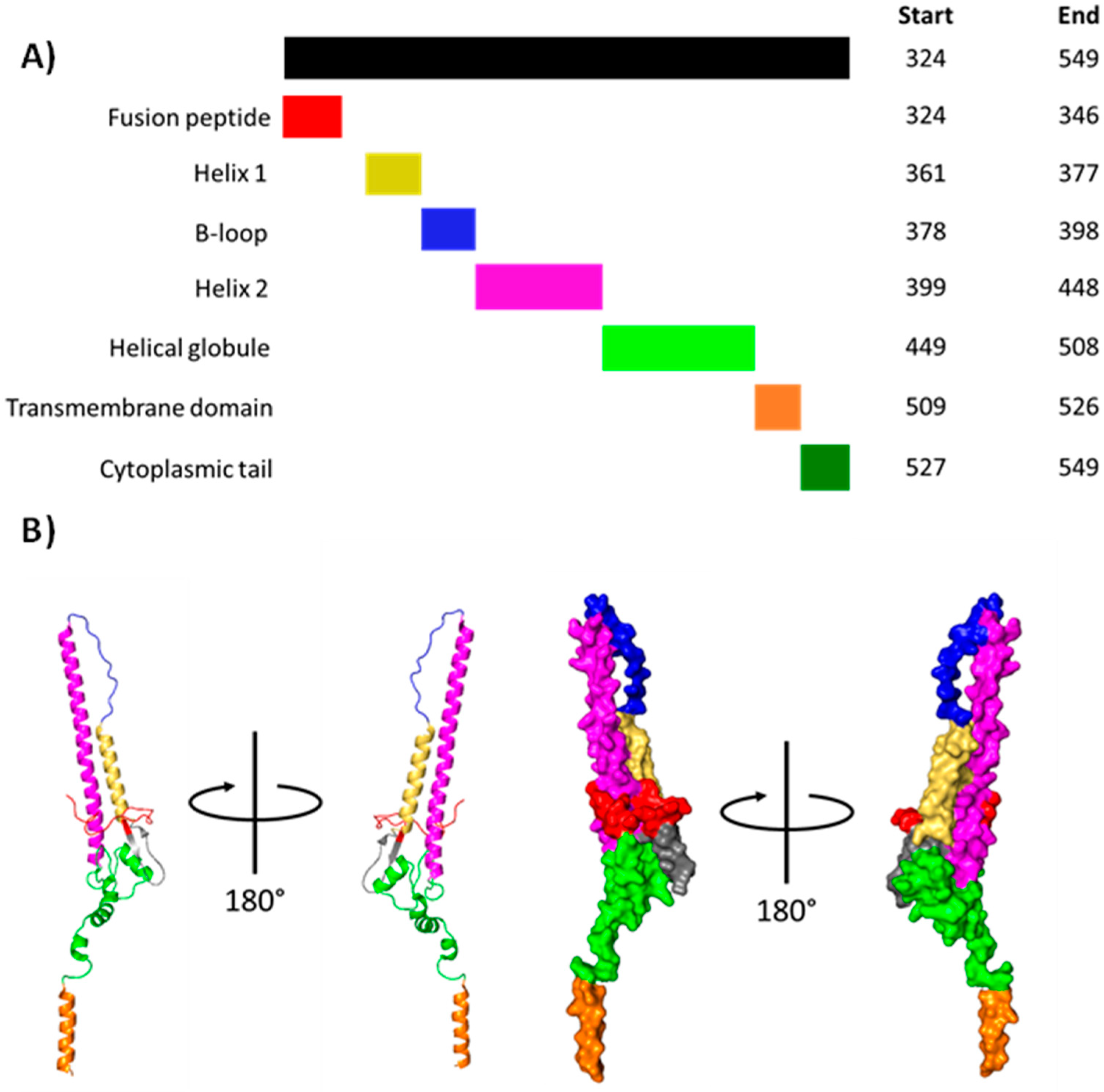 Viruses 16 00316 g016
