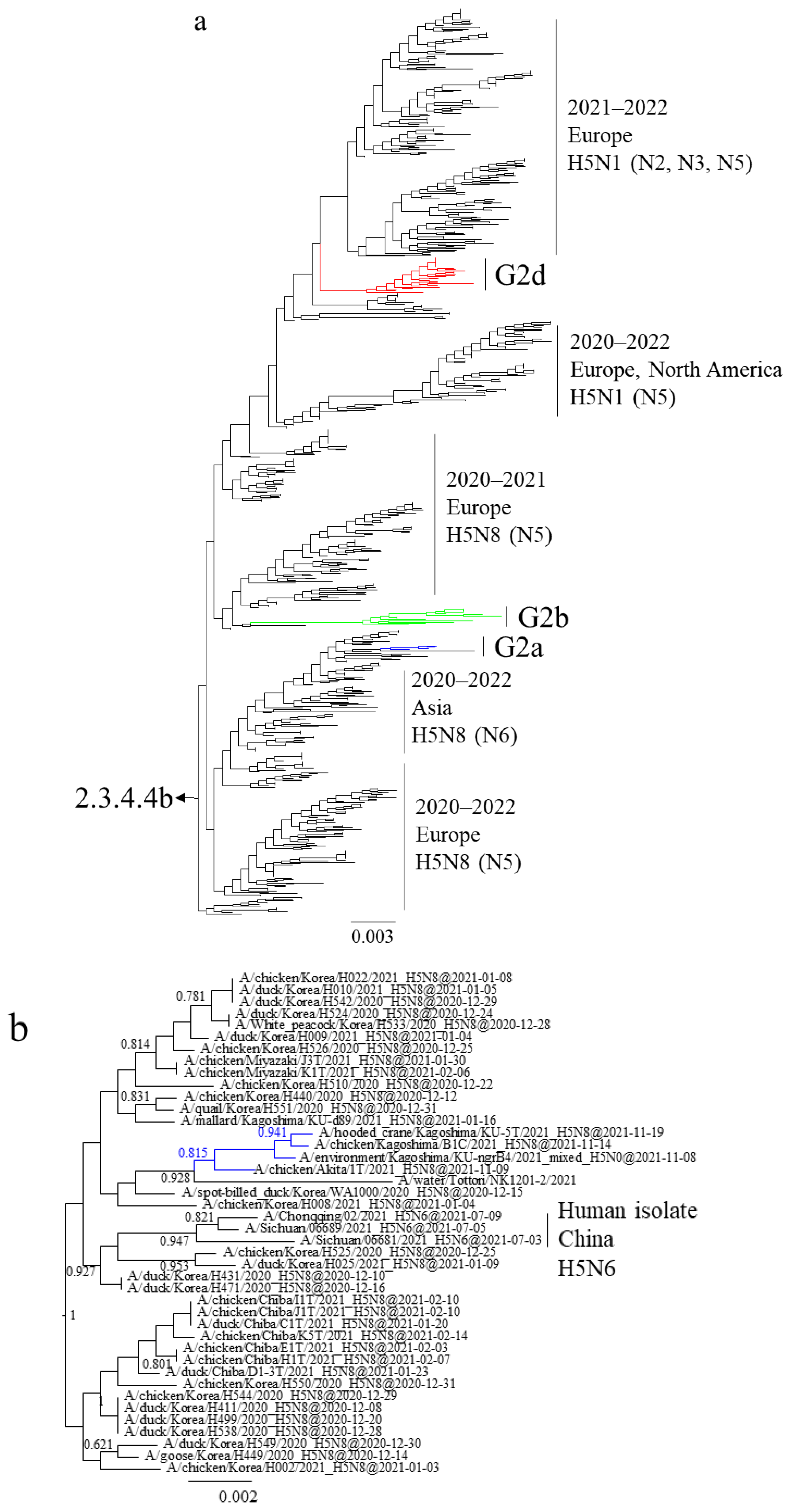 Viruses 16 00358 g001a
