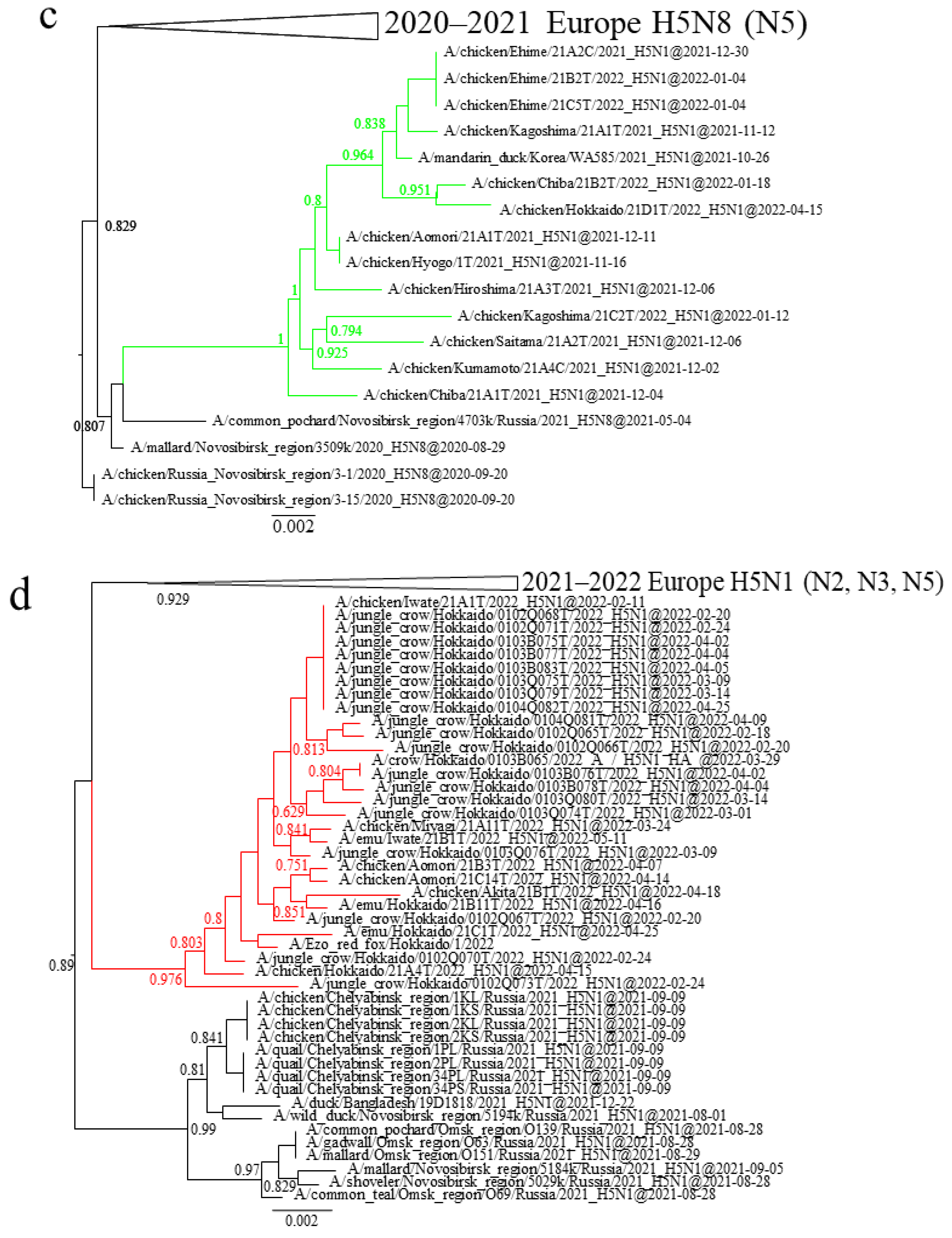 Viruses 16 00358 g001b