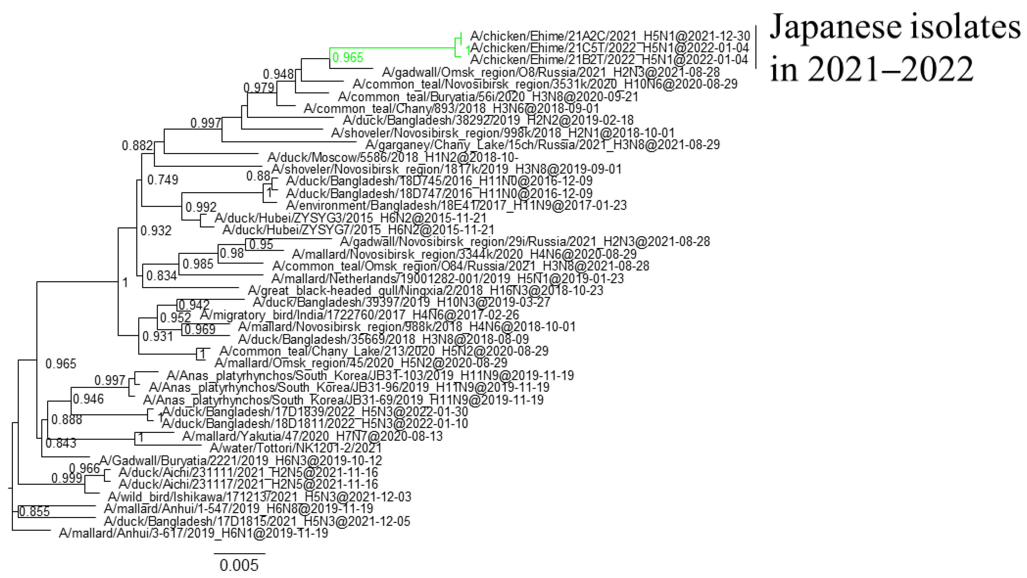 Viruses 16 00358 g003