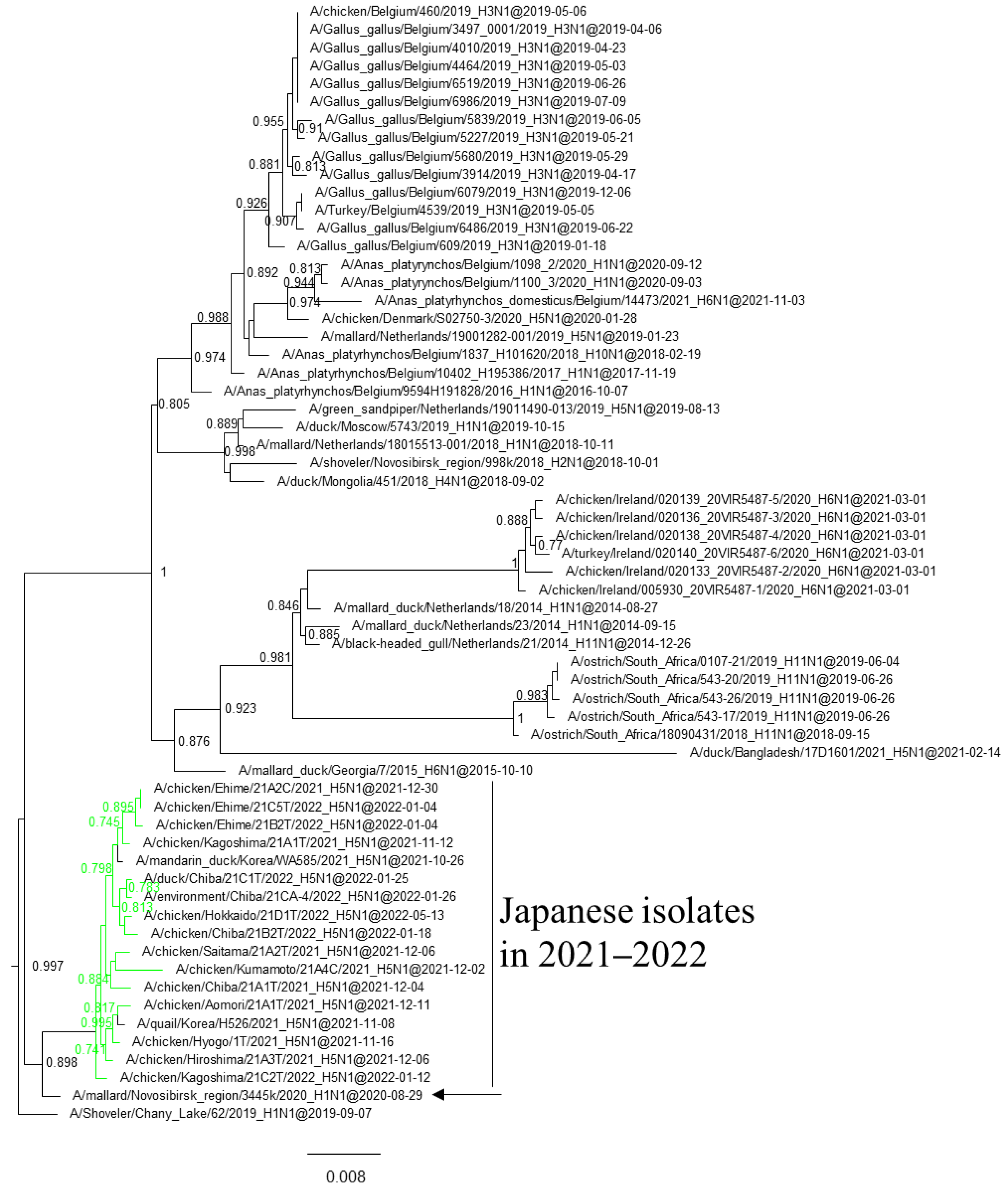 Viruses 16 00358 g005
