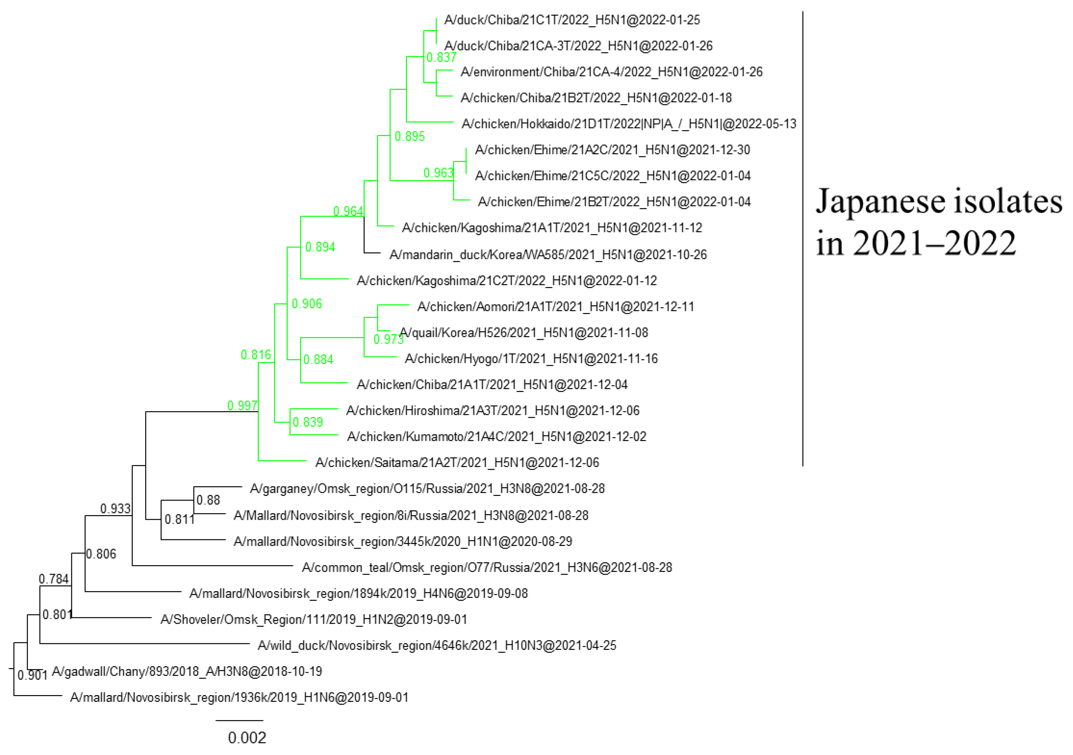Viruses 16 00358 g006