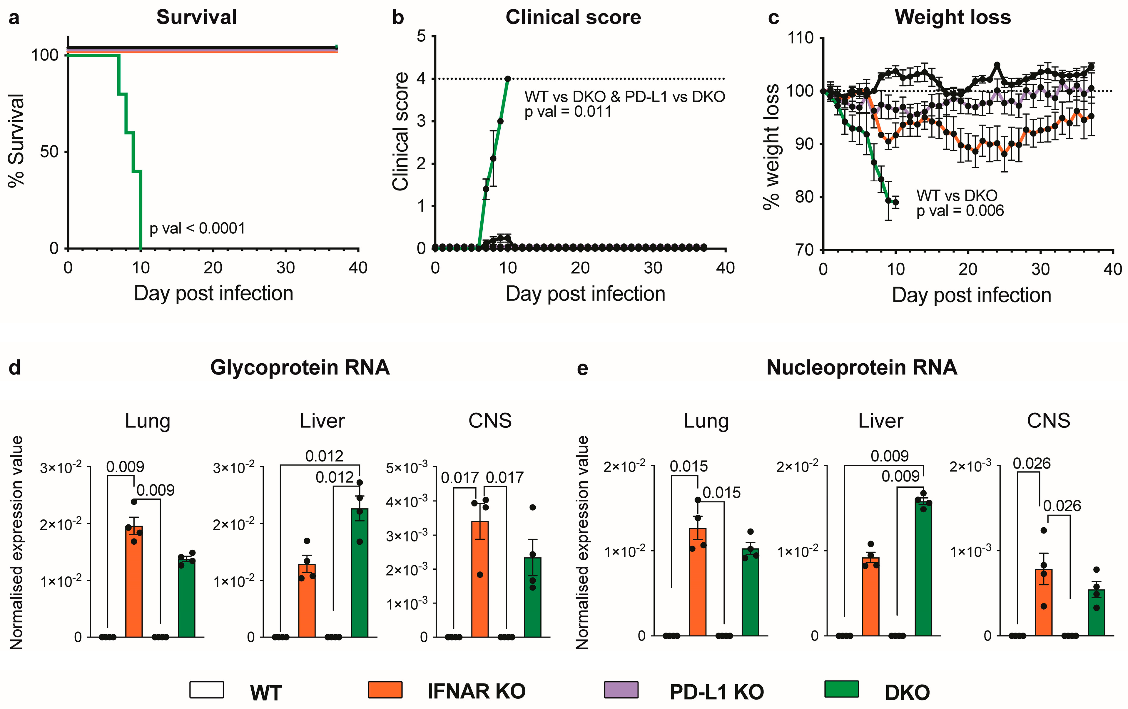 Viruses 16 00390 g001