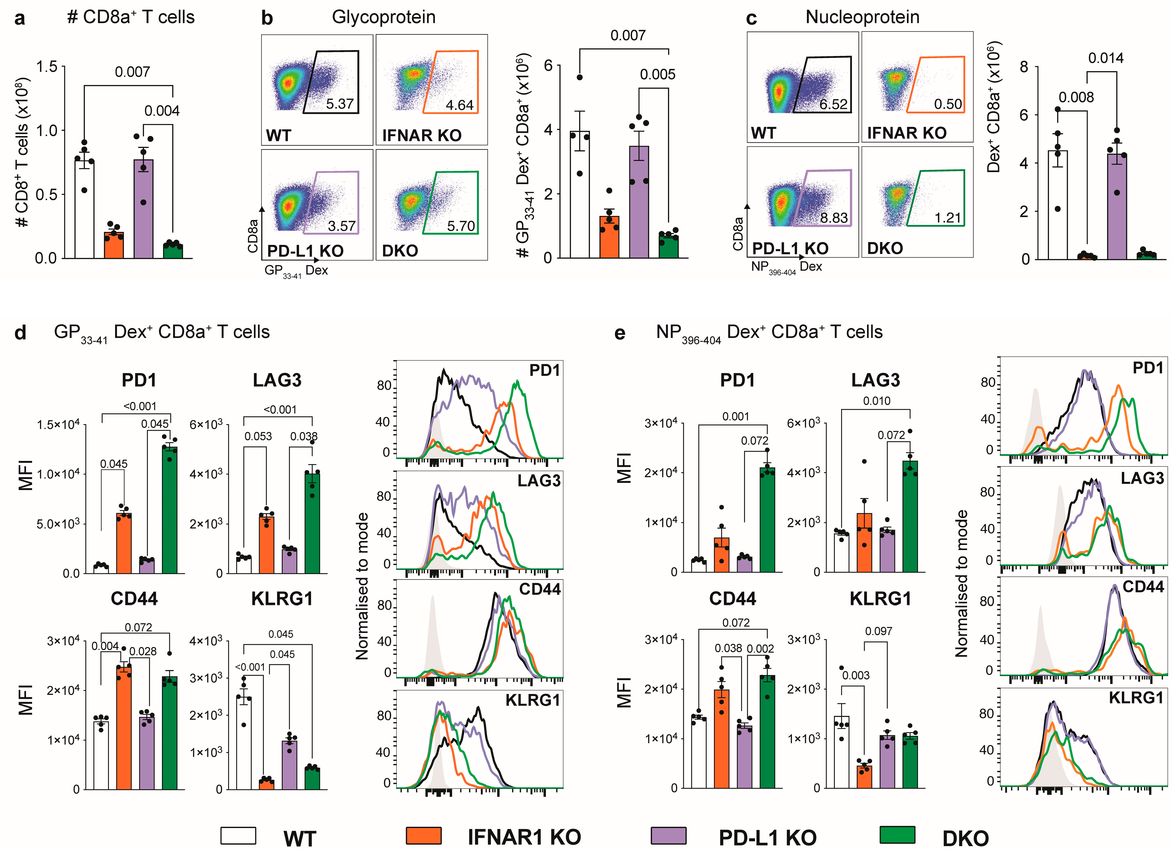 Viruses 16 00390 g002