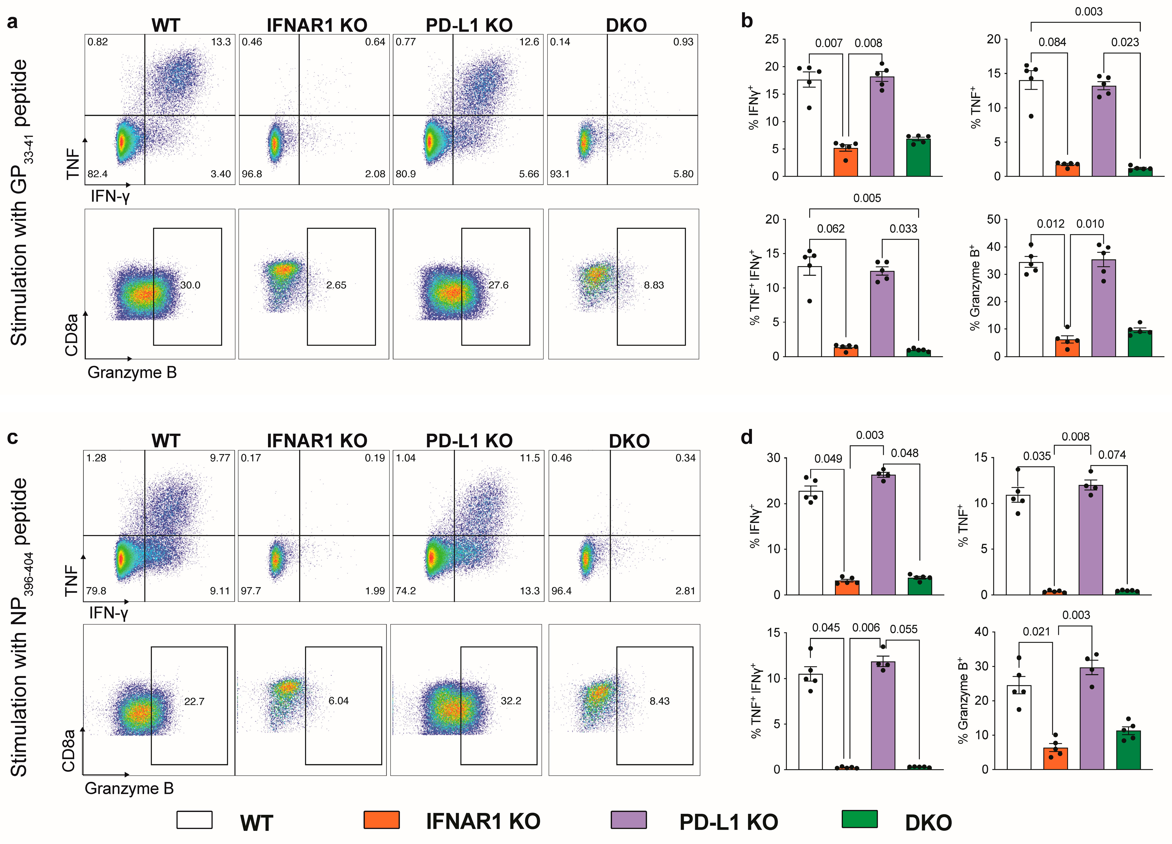 Viruses 16 00390 g003