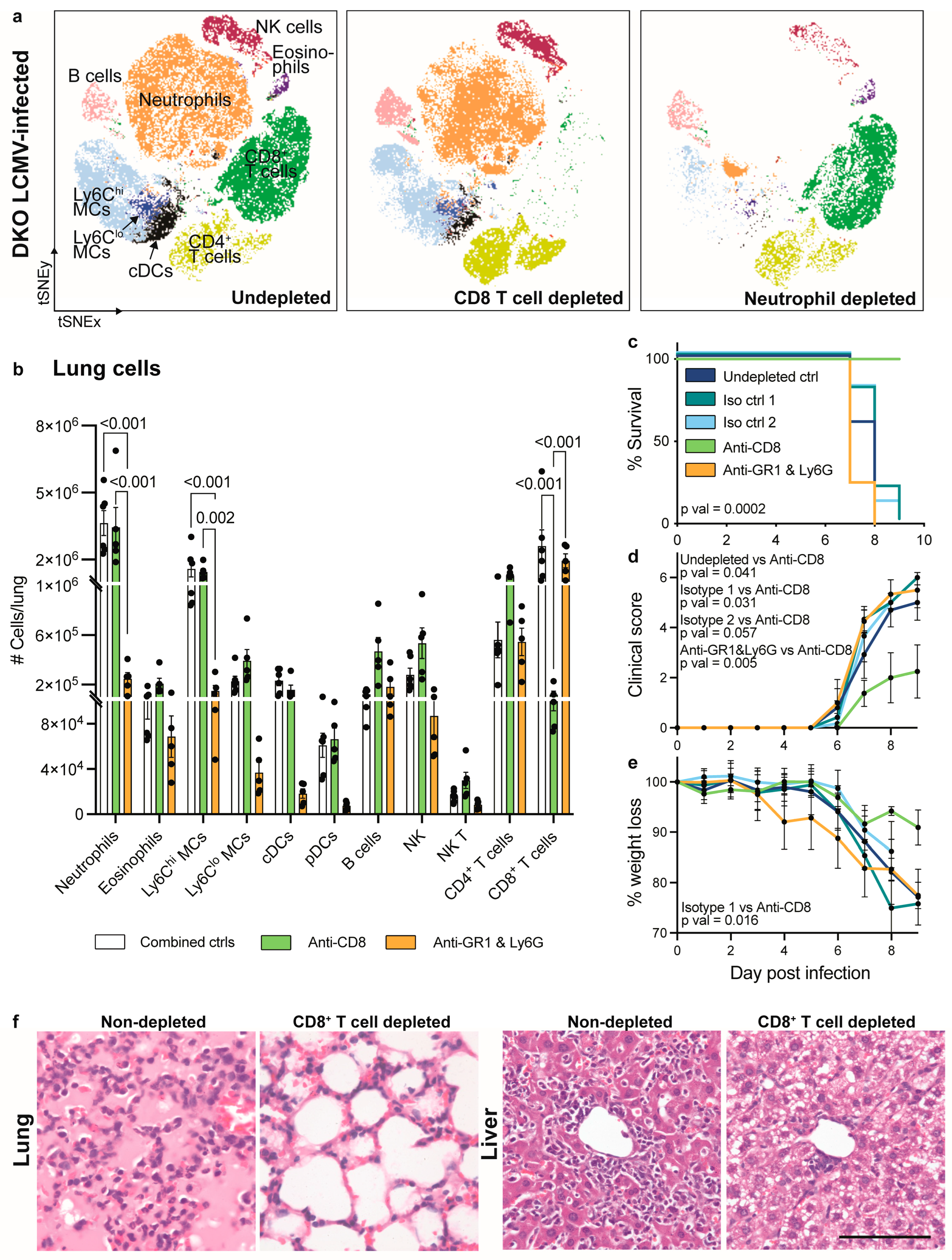 Viruses 16 00390 g006