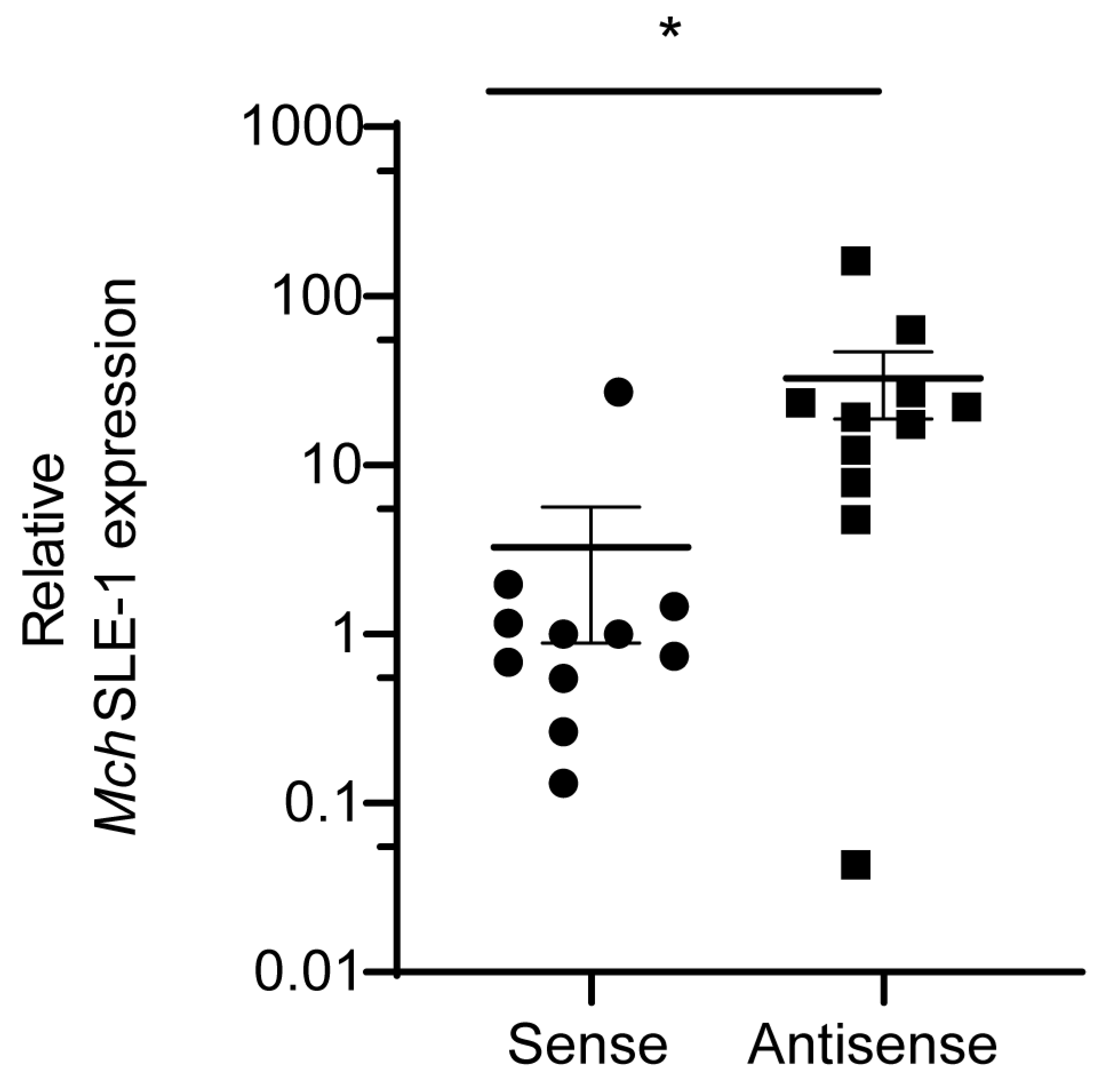 Viruses 16 00403 g002