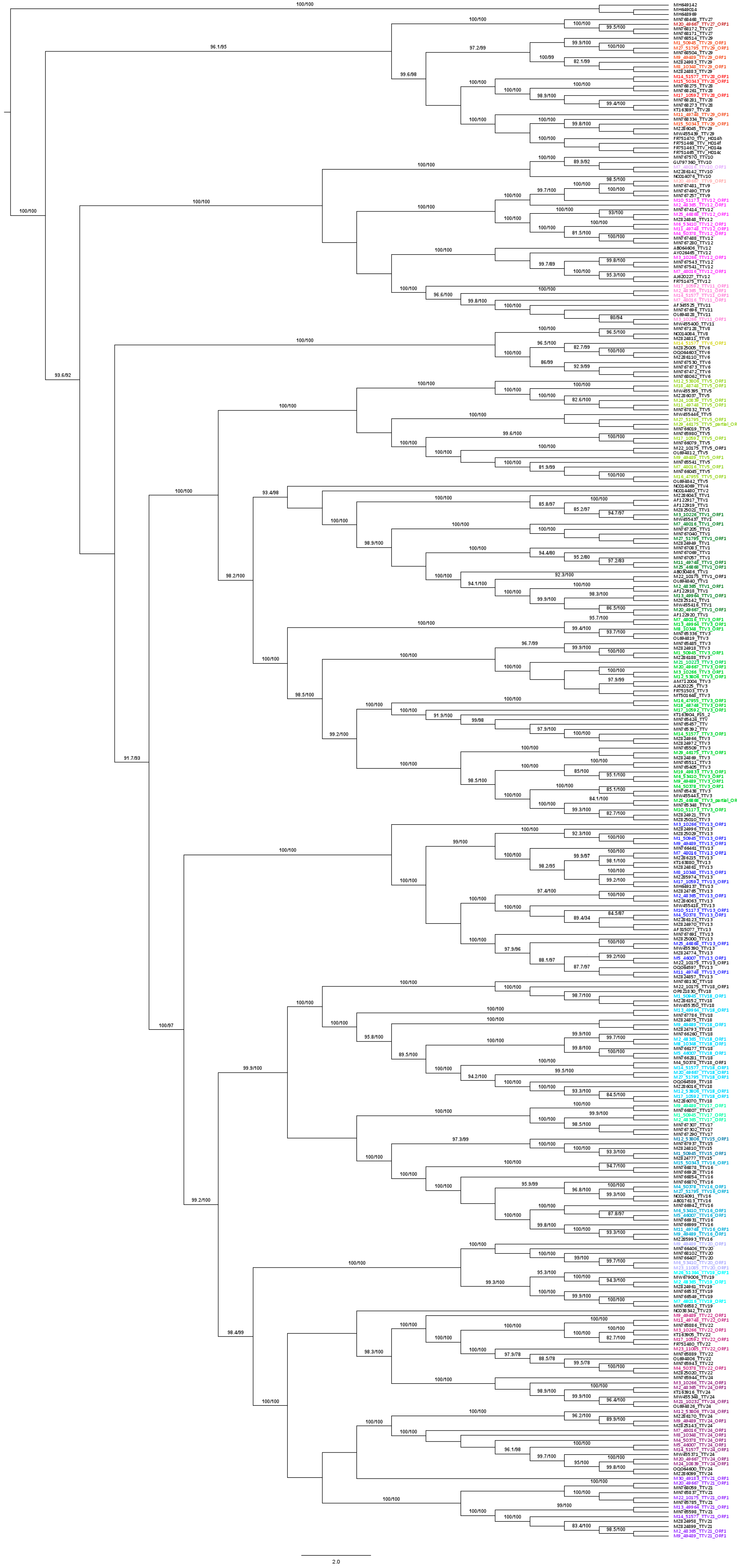 Viruses 16 00432 g001 Viruses 16 00432 g001