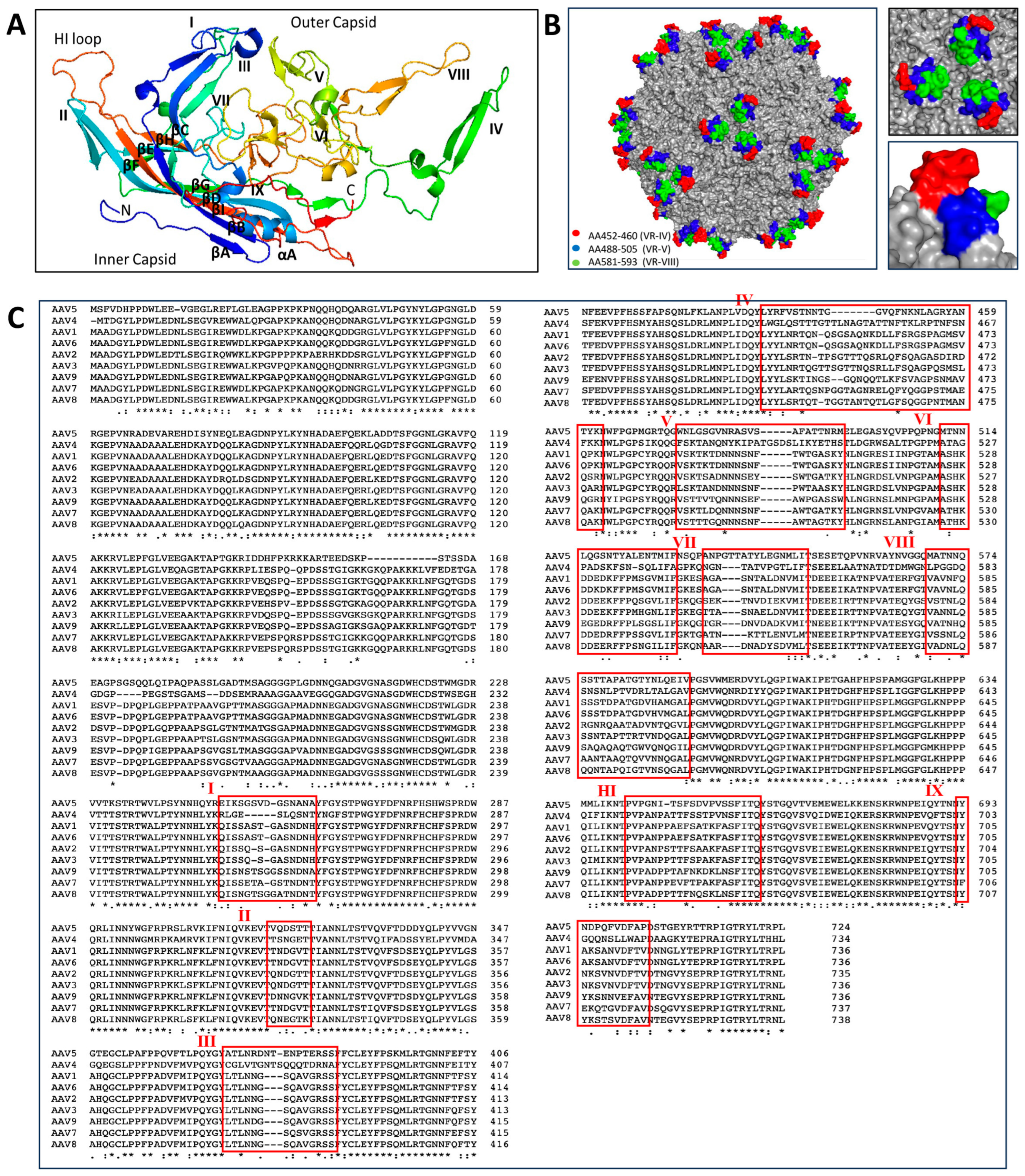Viruses 16 00442 g002