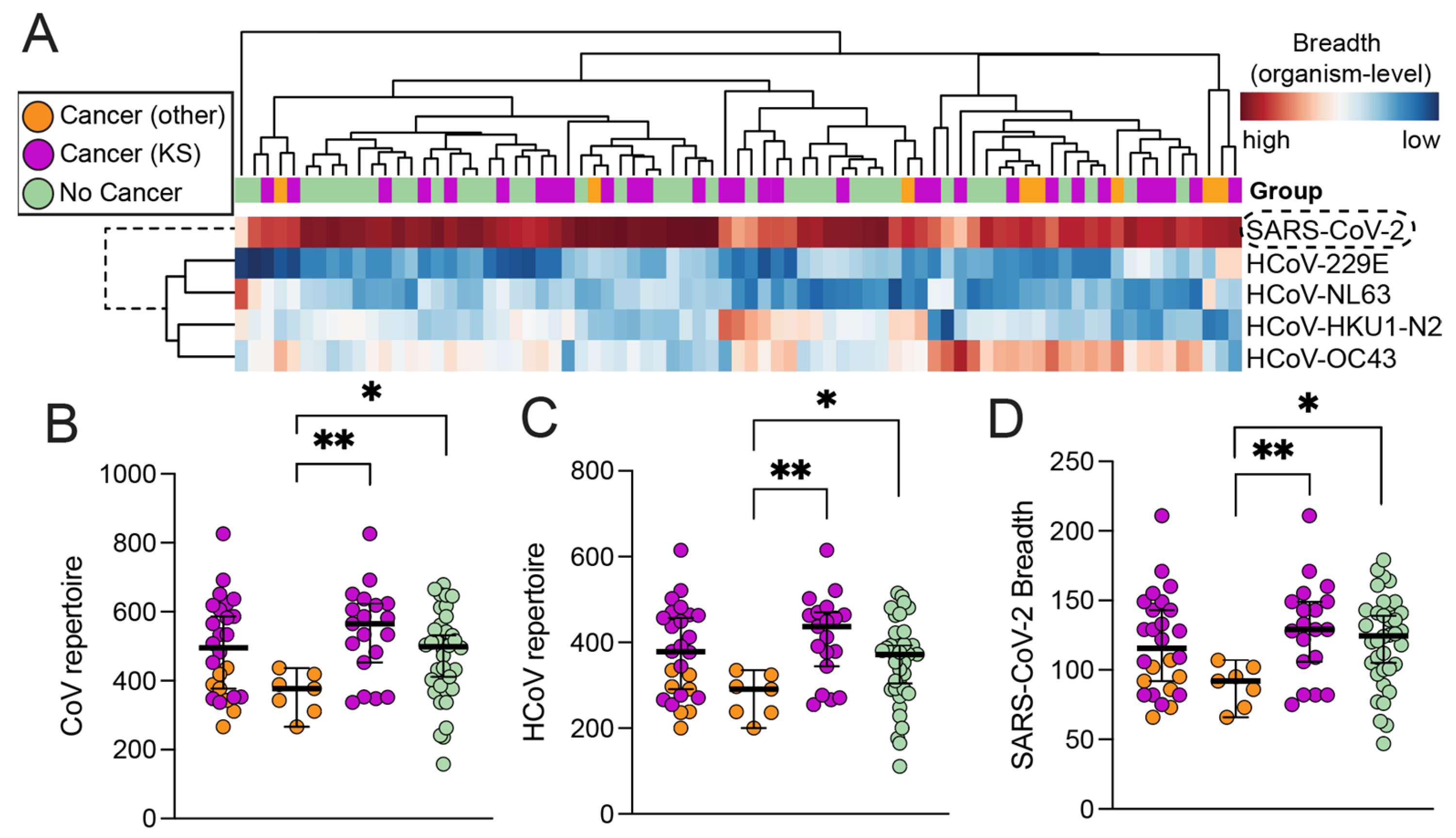 Viruses 16 00448 g001