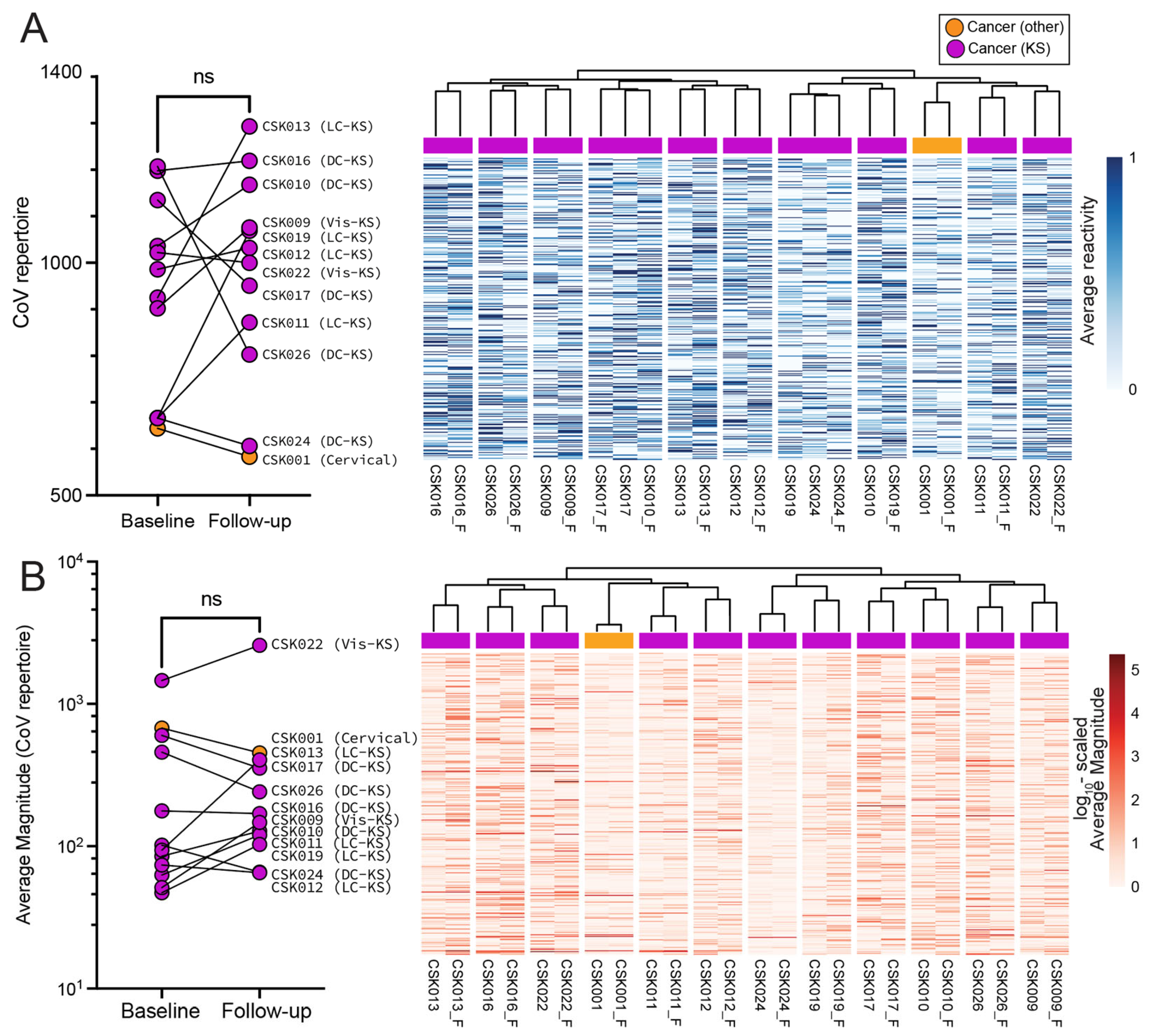 Viruses 16 00448 g002