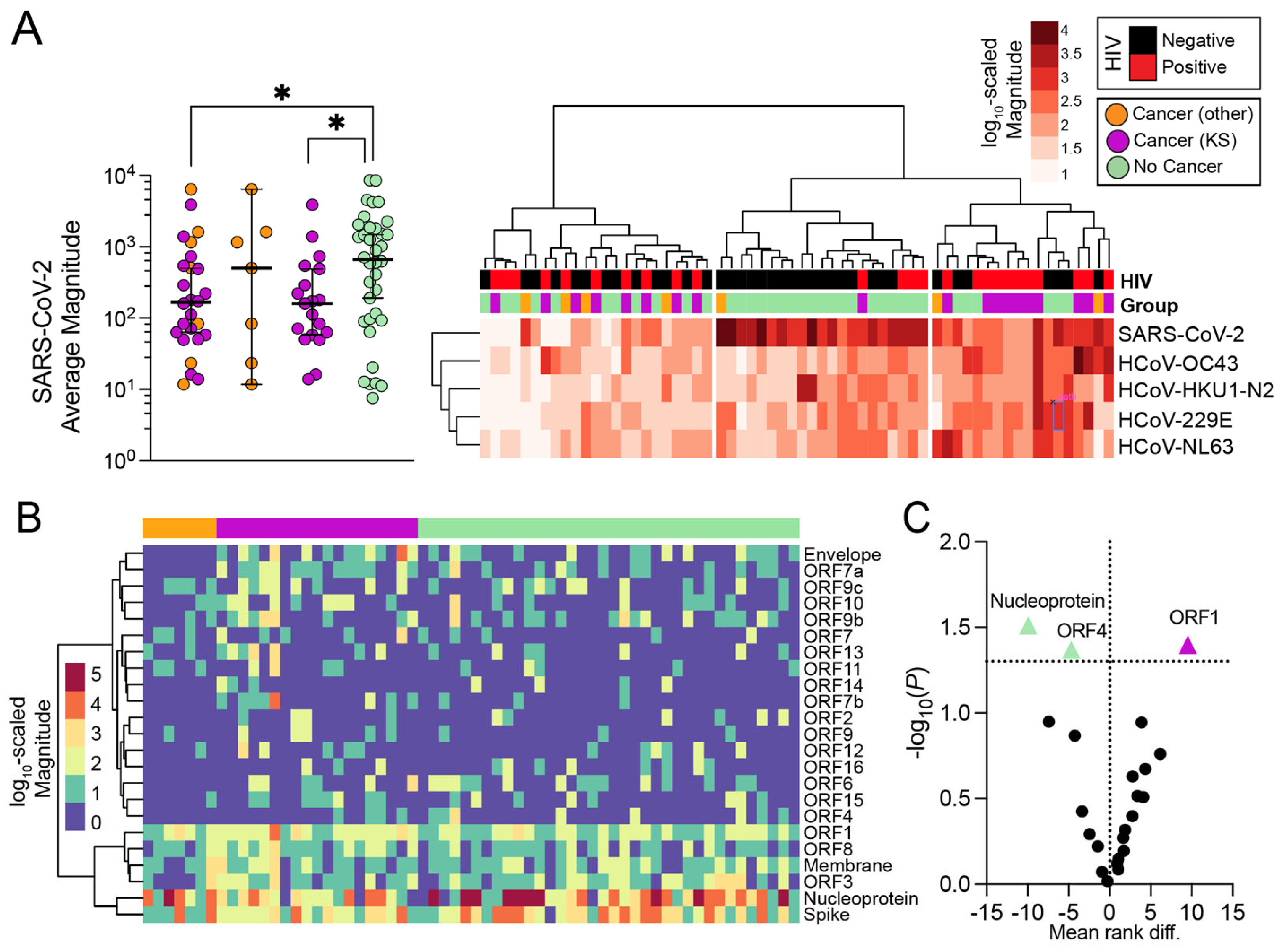 Viruses 16 00448 g003