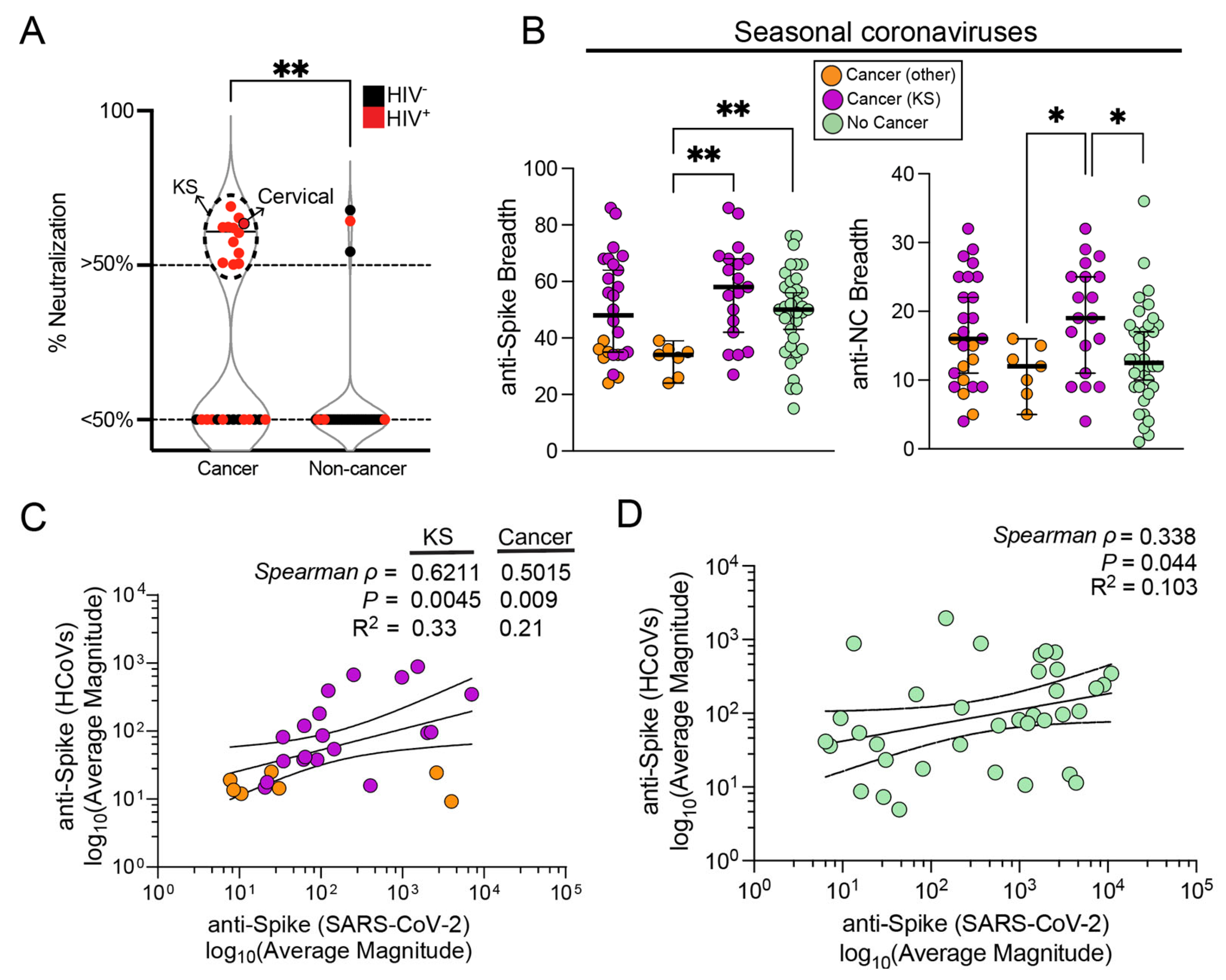 Viruses 16 00448 g004