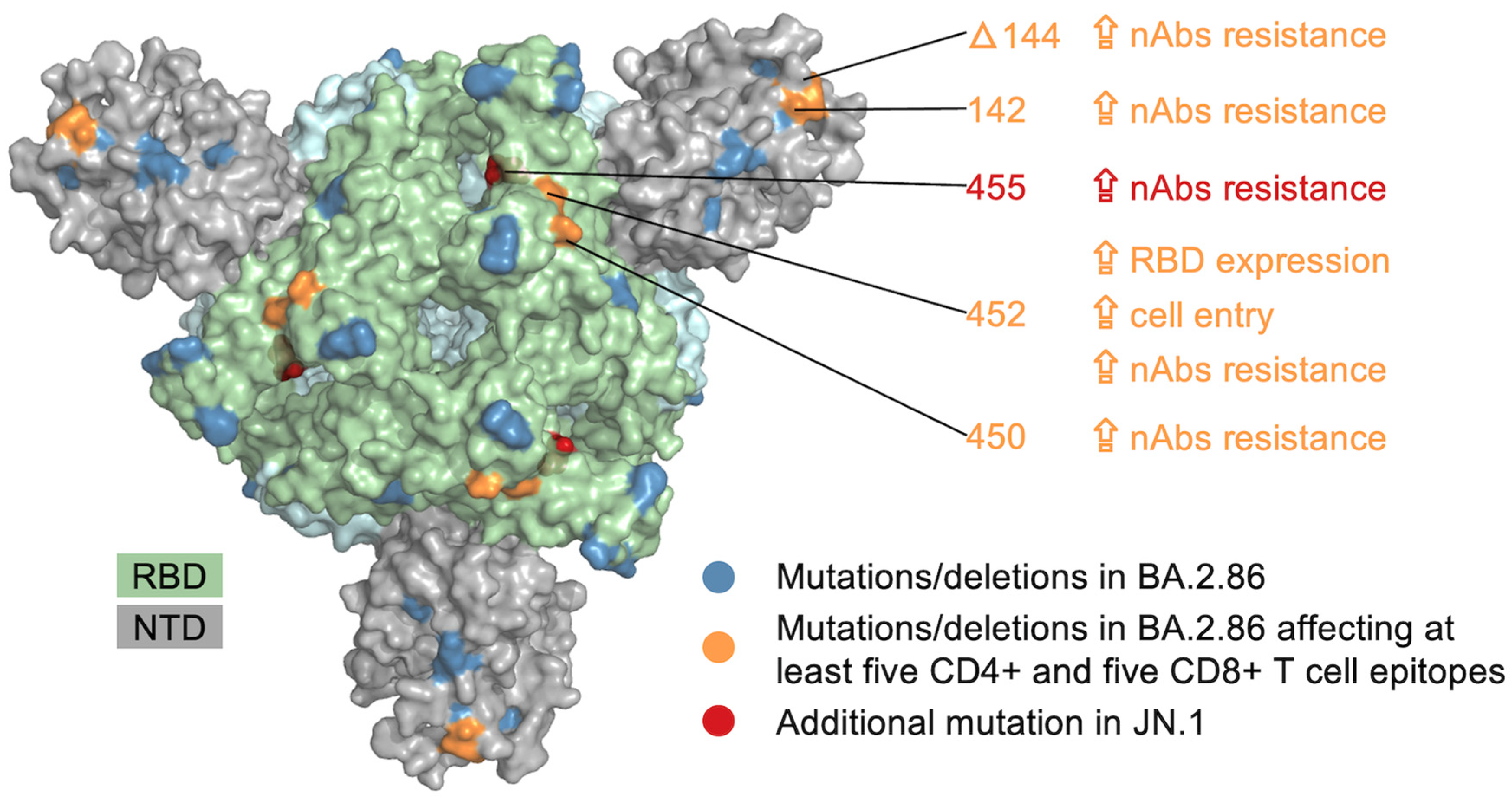 Viruses 16 00473 g002