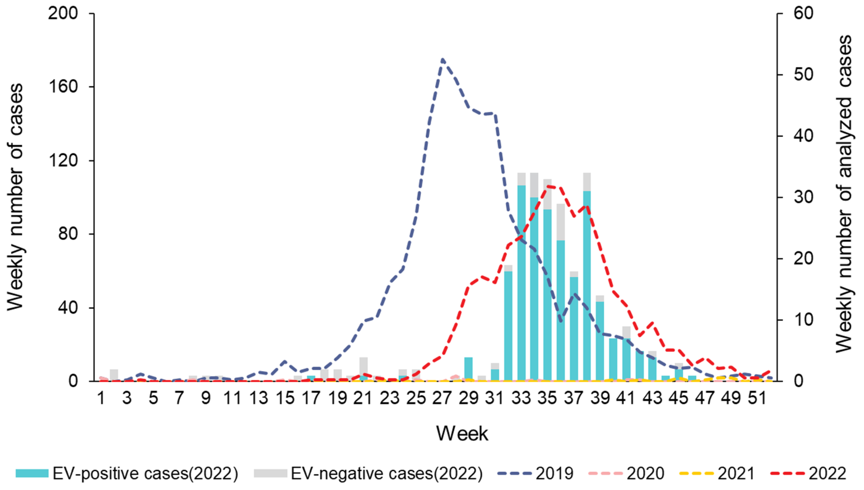 Viruses 16 00476 g001